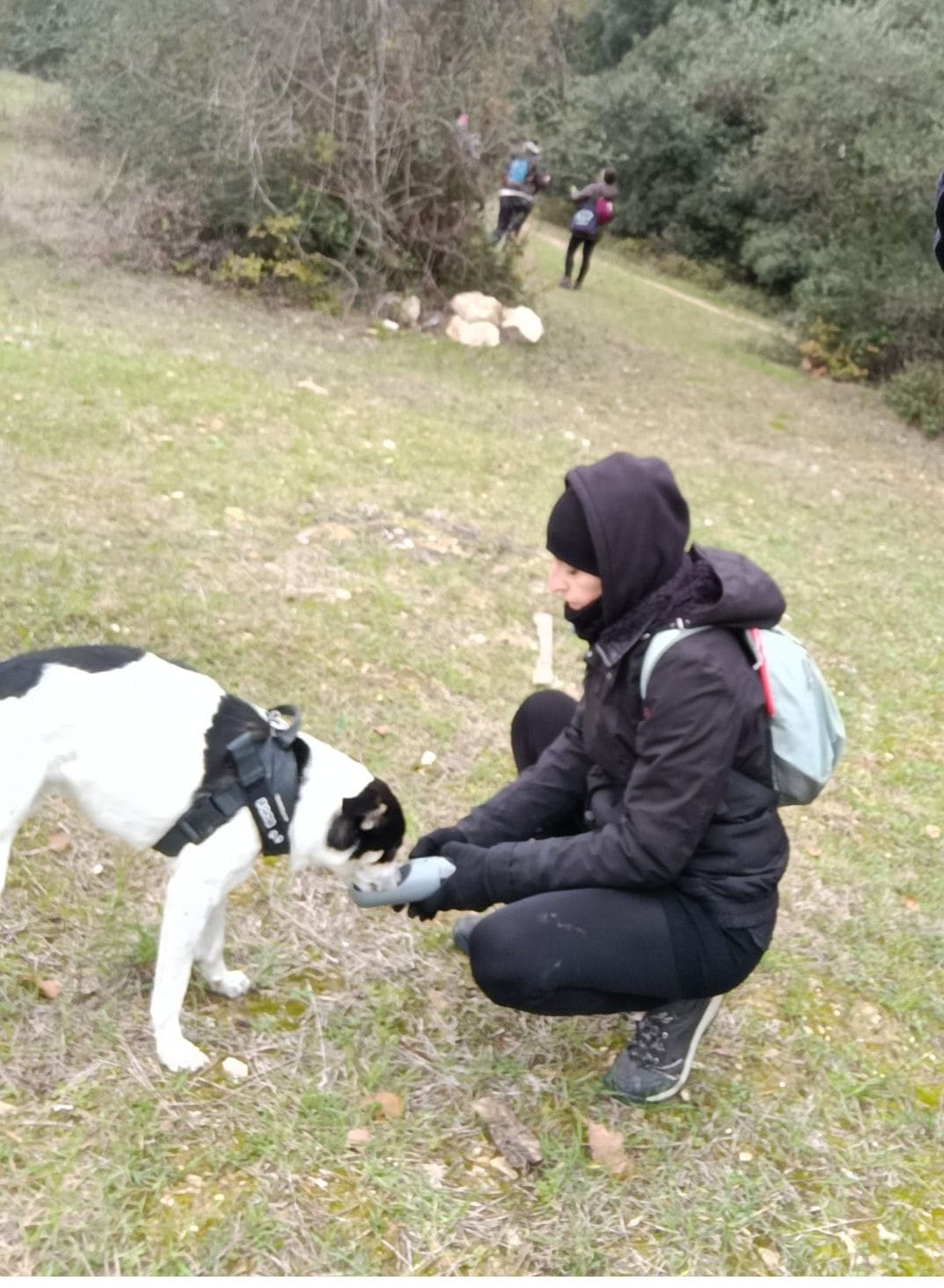 image-11