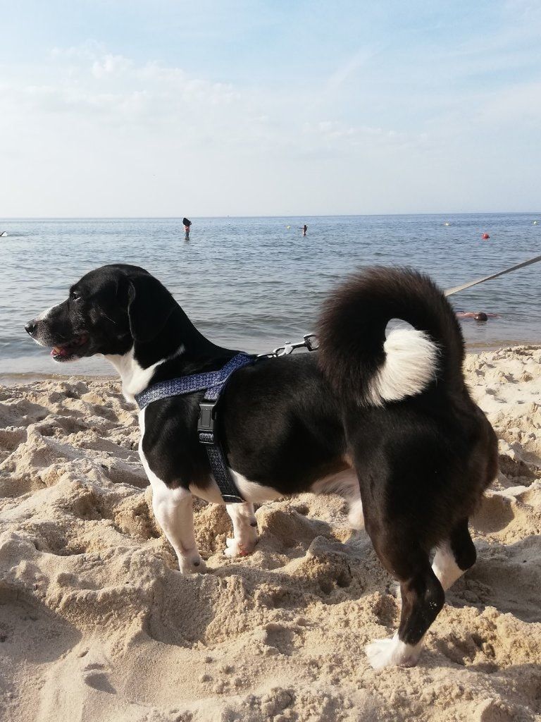 image-9