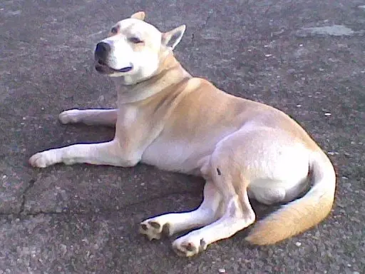 image-2