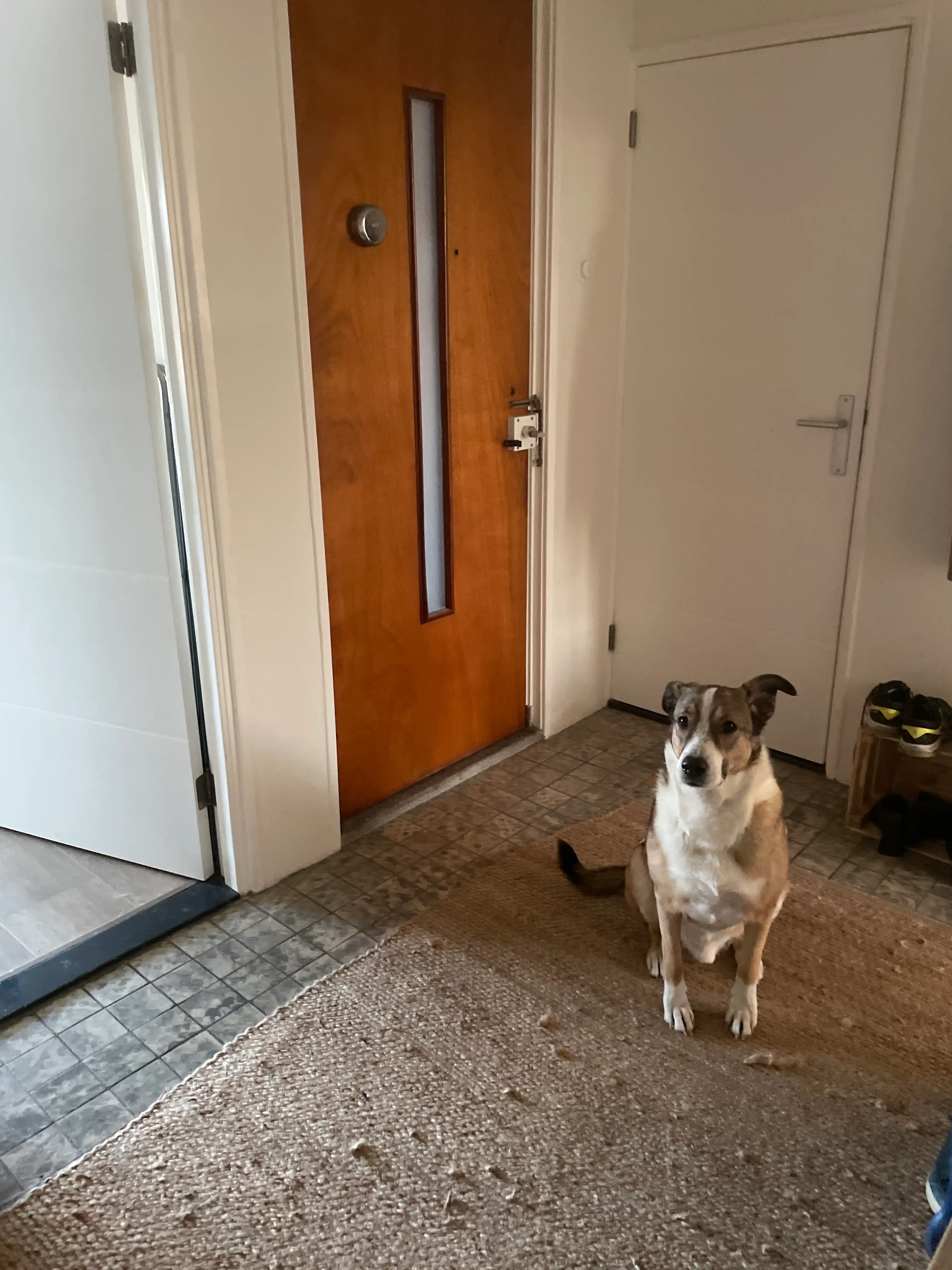 image-14