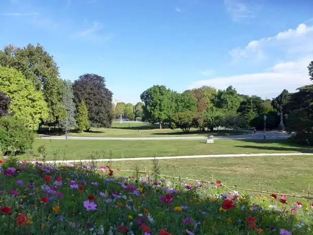 image-17