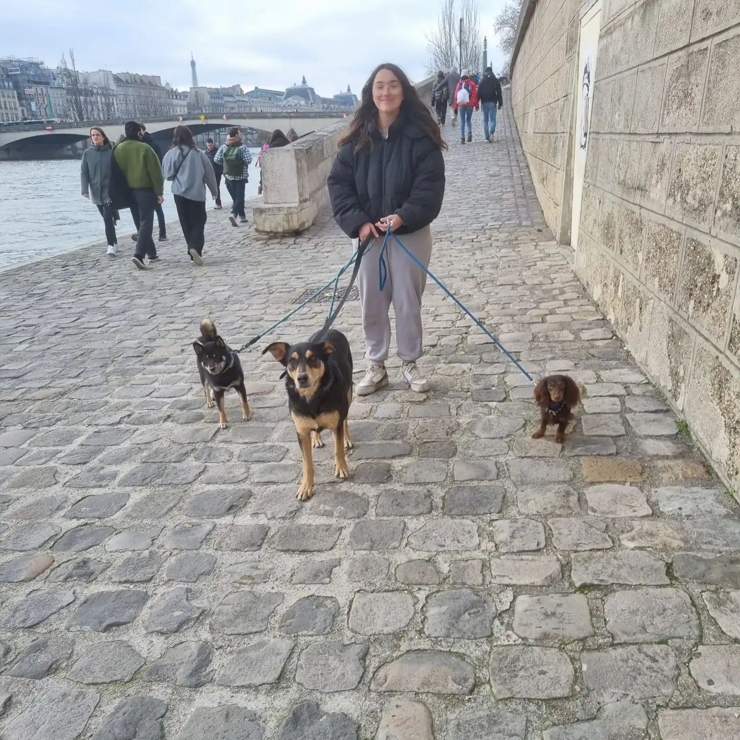 image-5