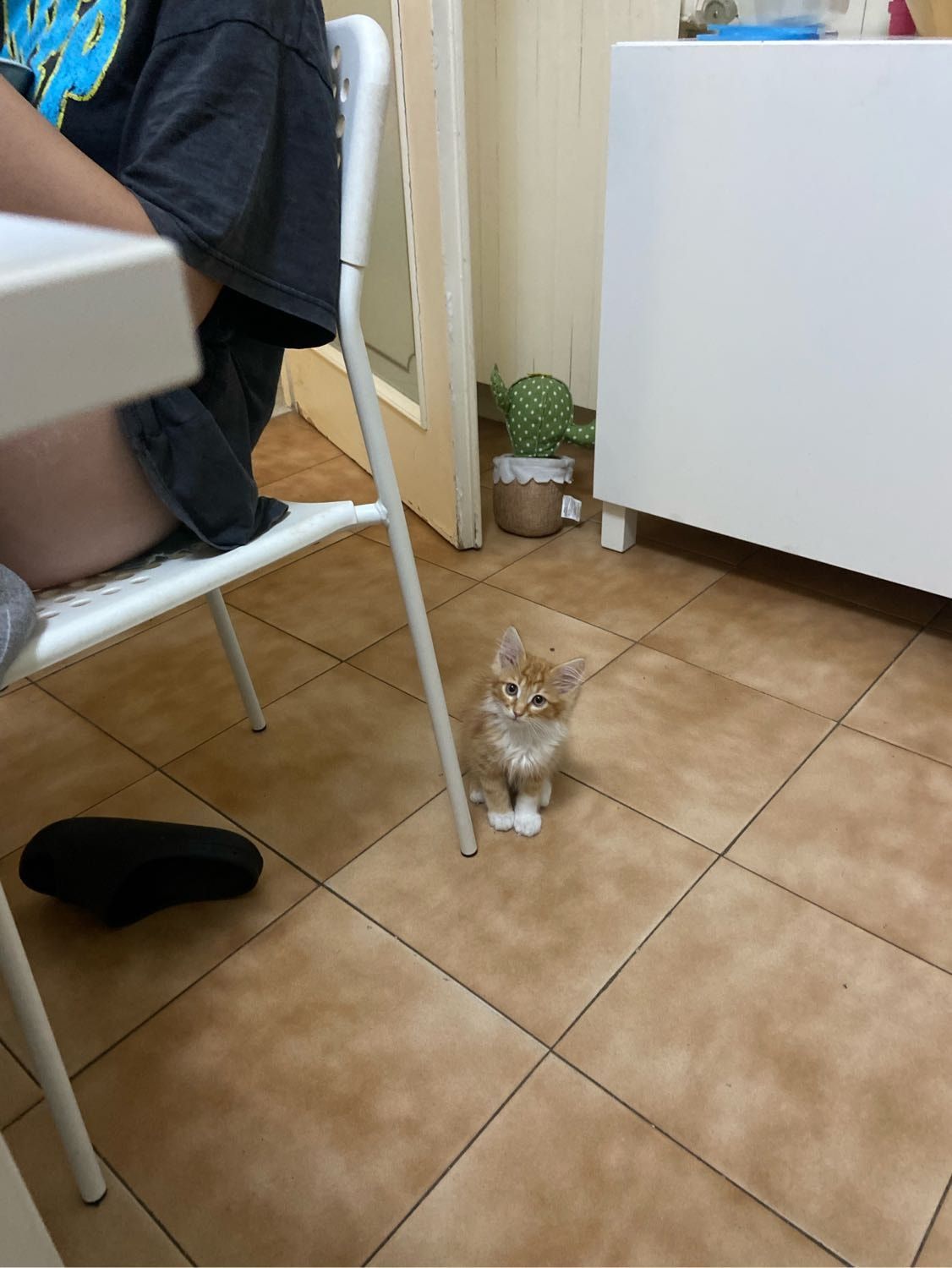image-6