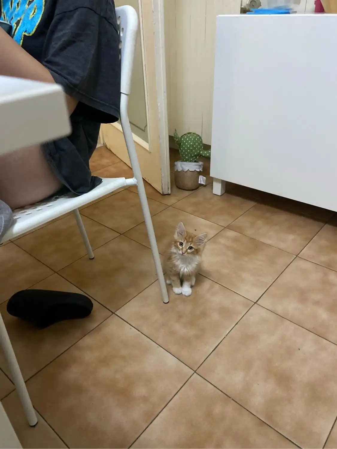 image-6