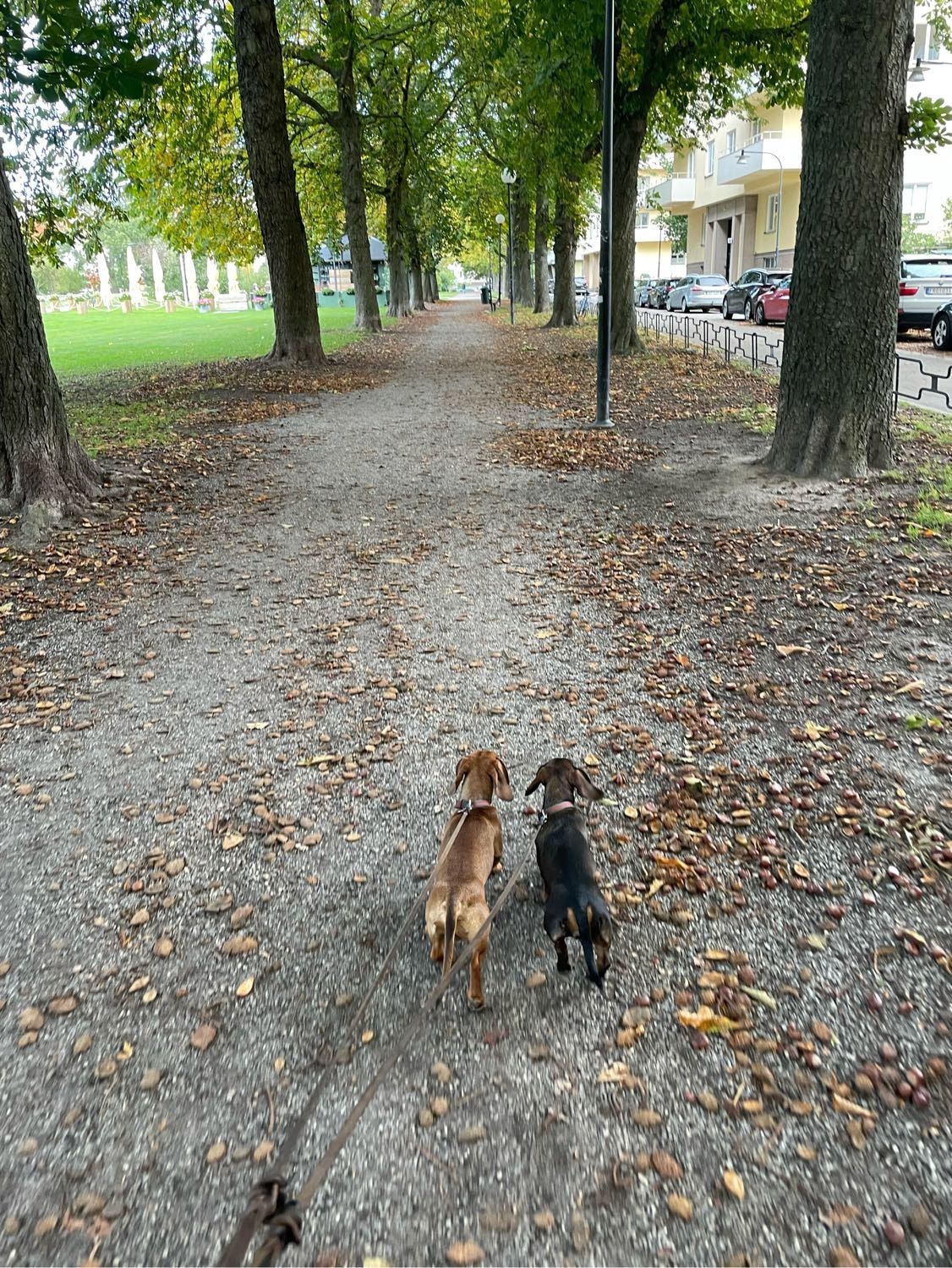 image-33