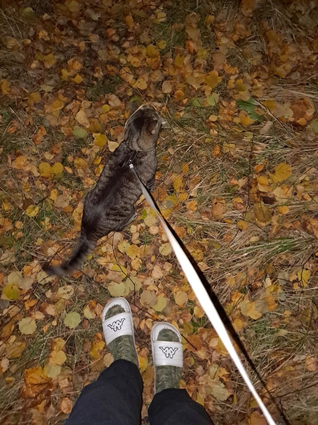 image-7