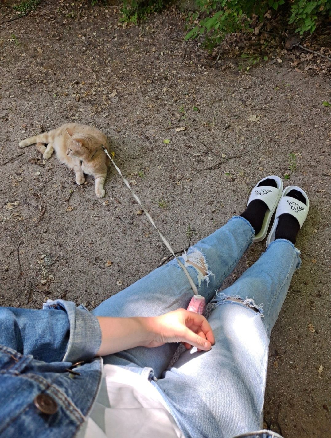 image-6