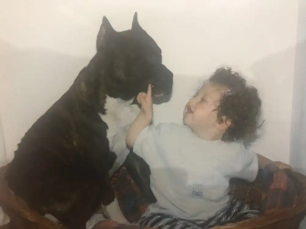 image-5