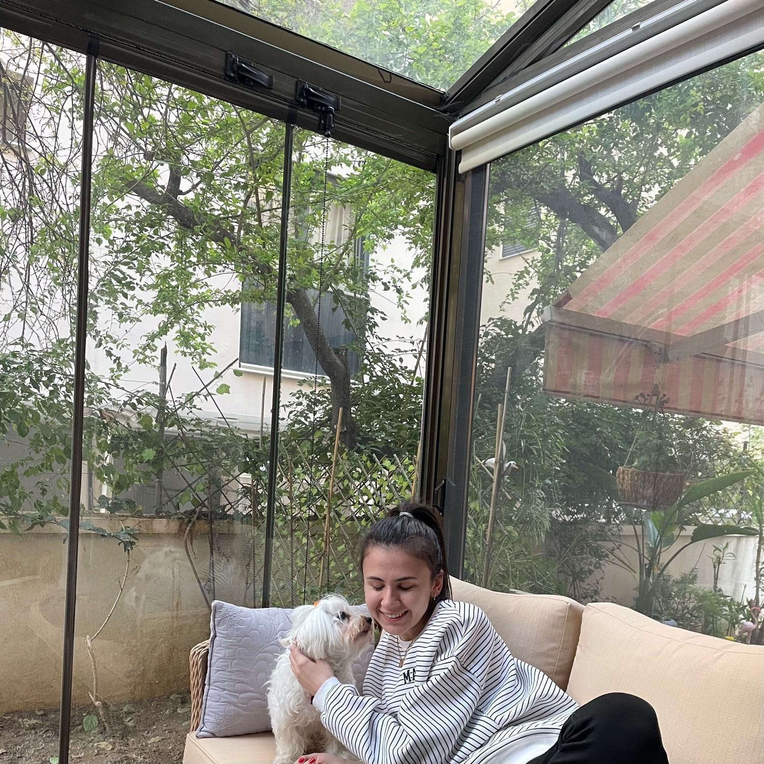 image-7