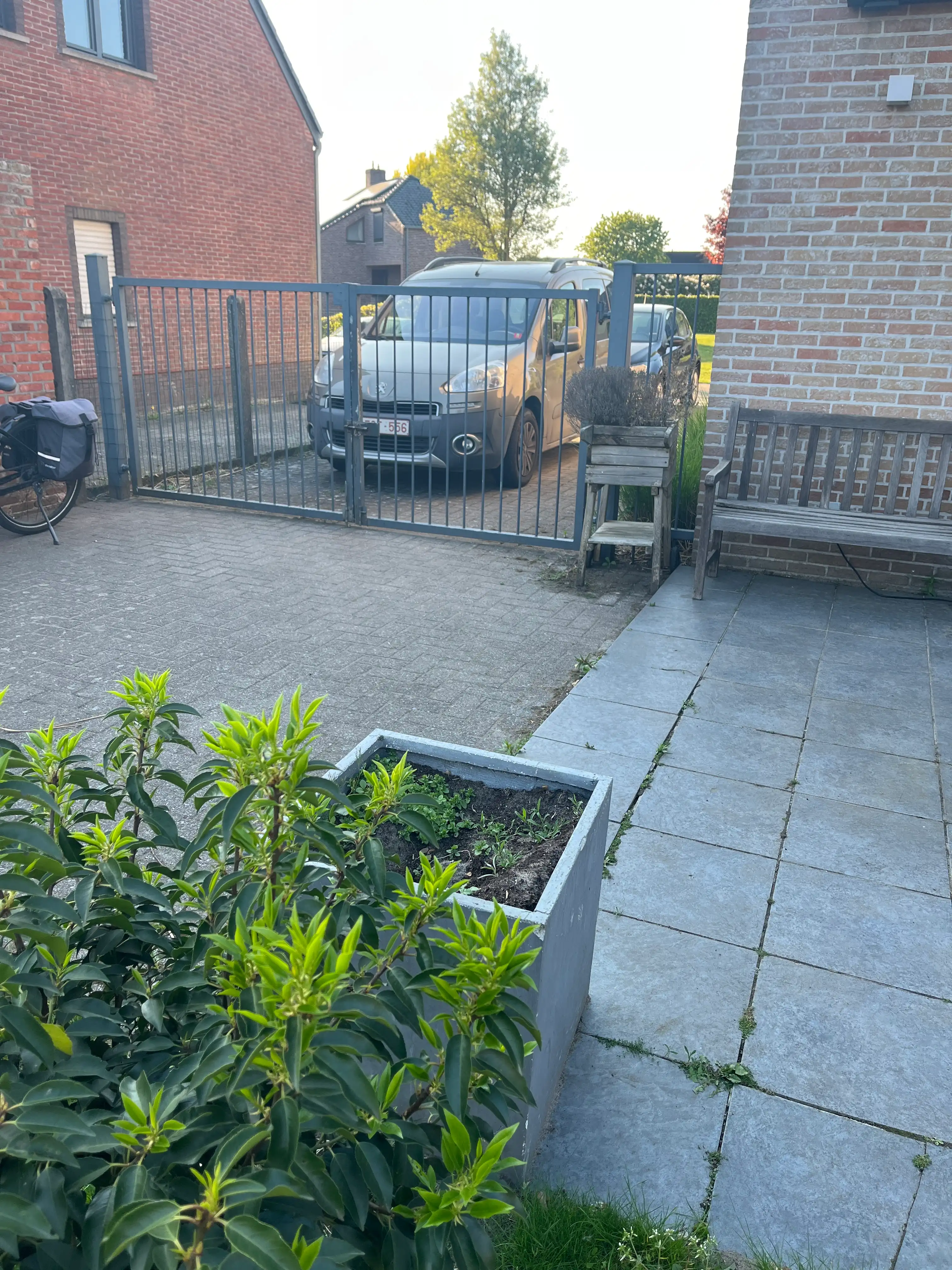 image-15