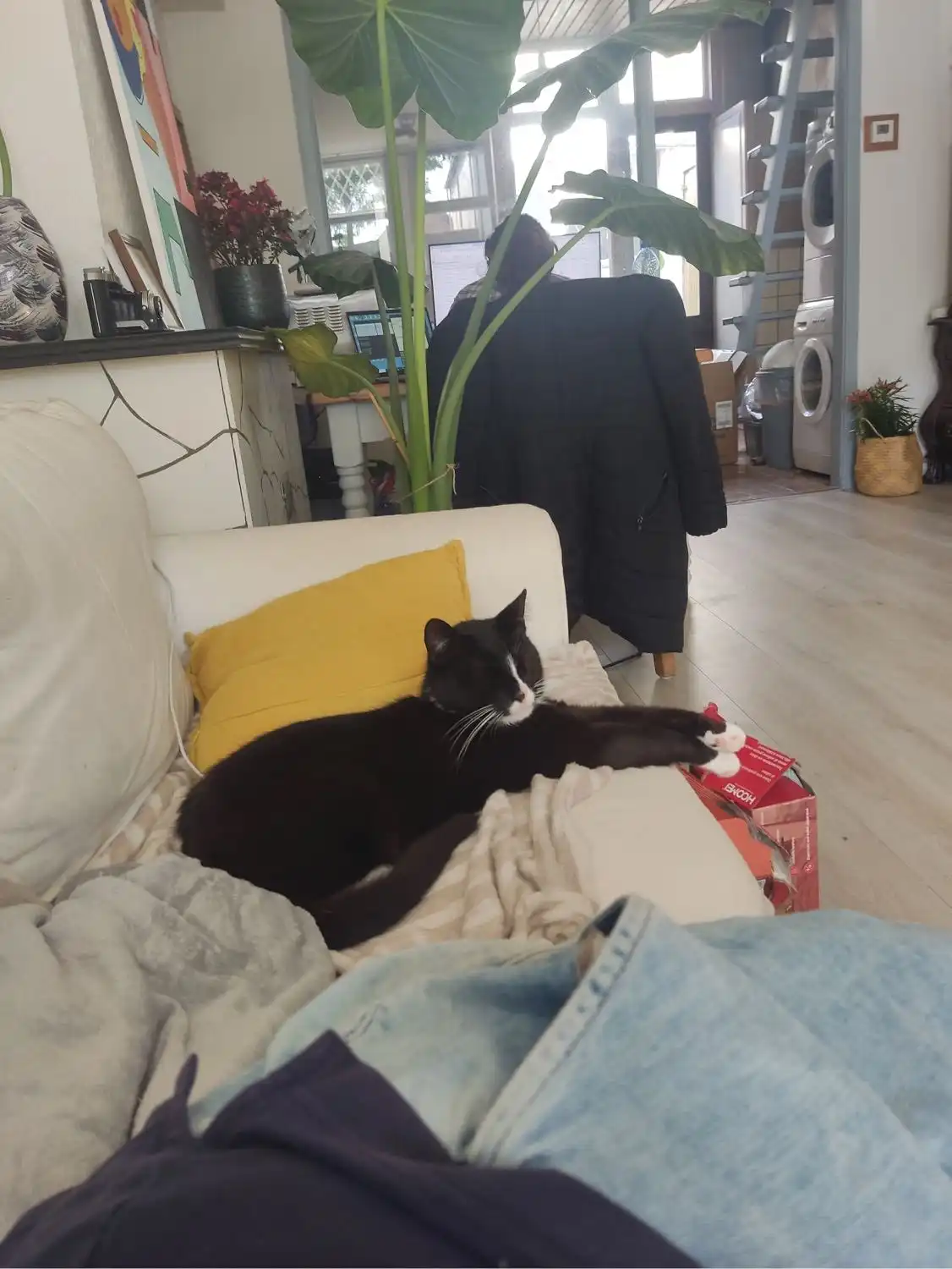 image-8