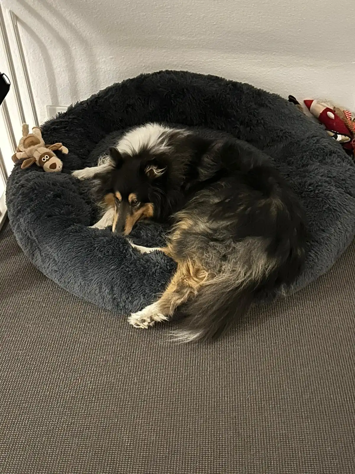 image-18