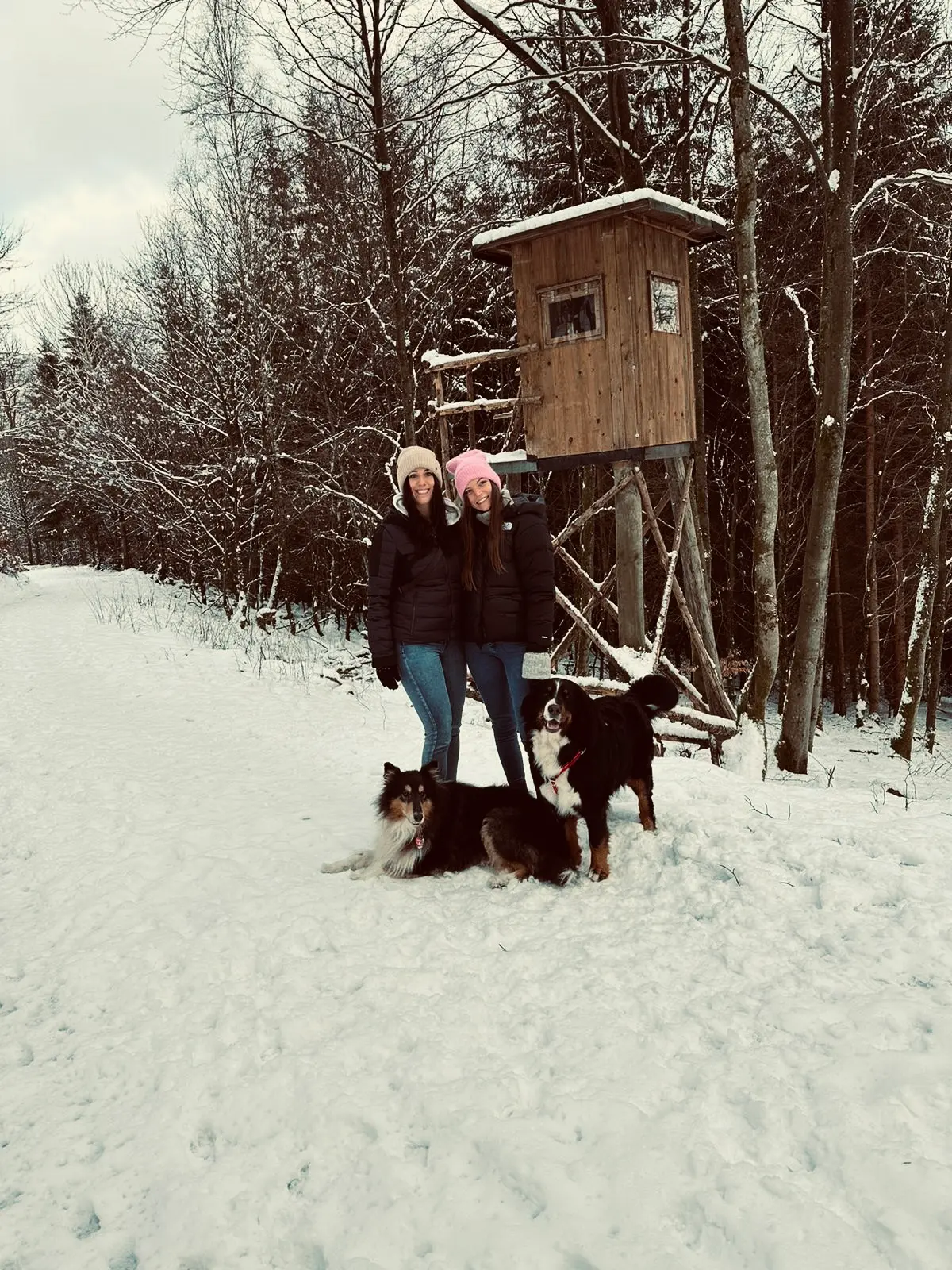 image-1