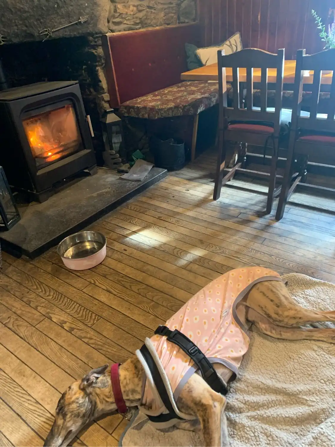 image-16