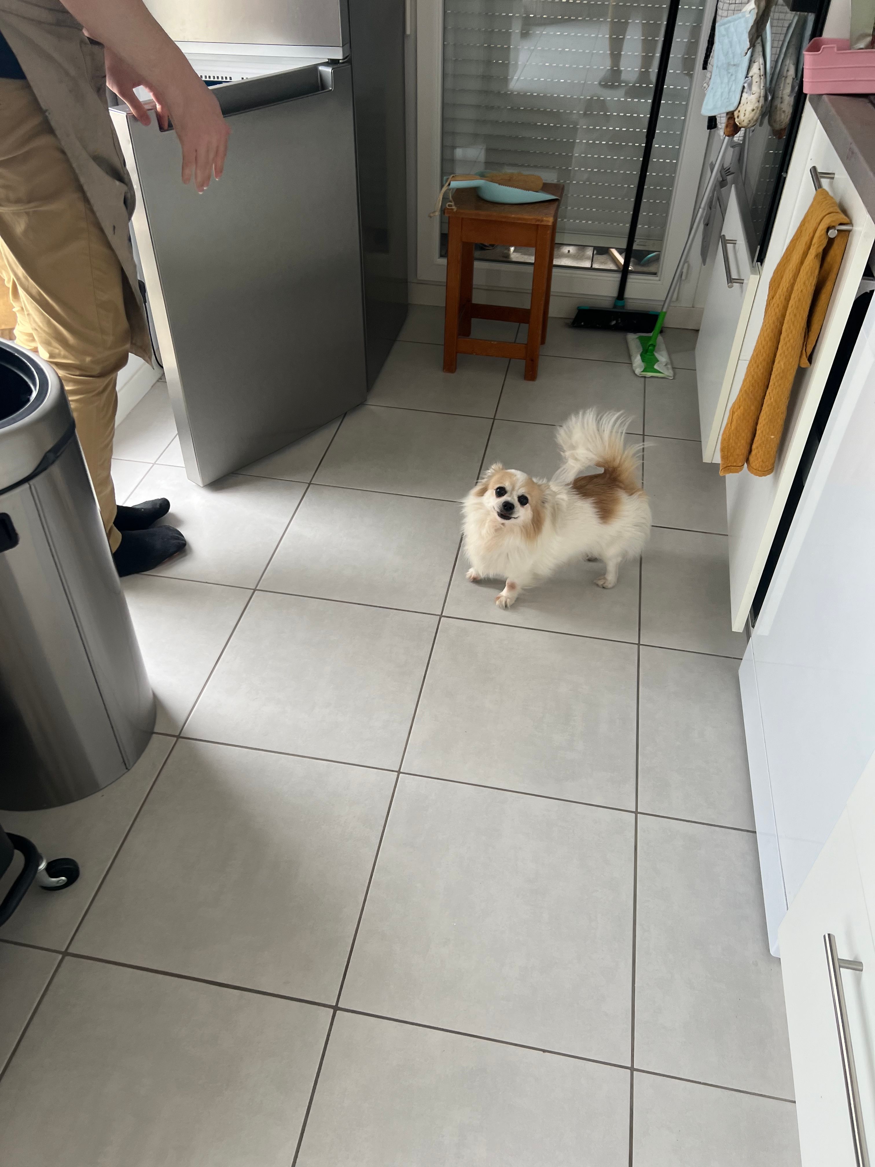 image-15