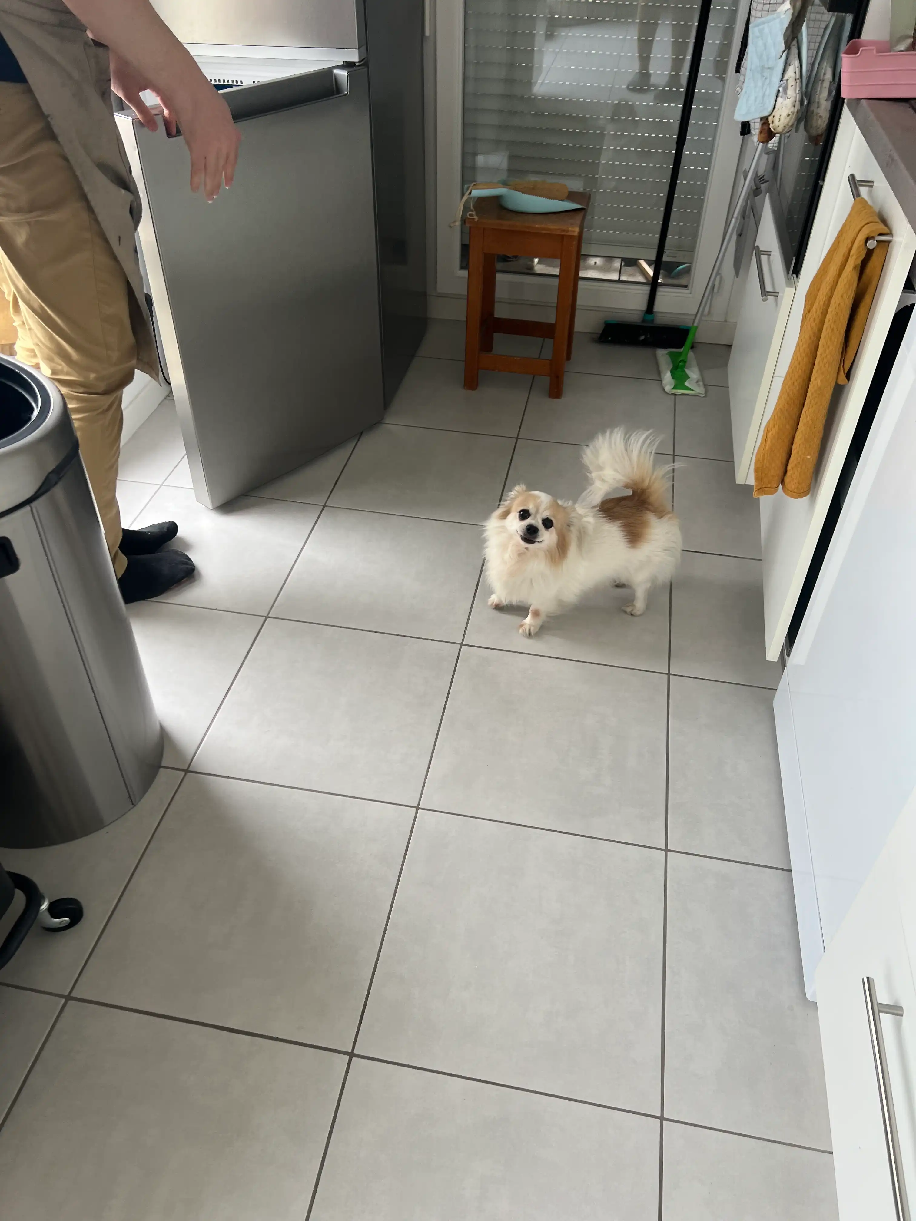 image-15