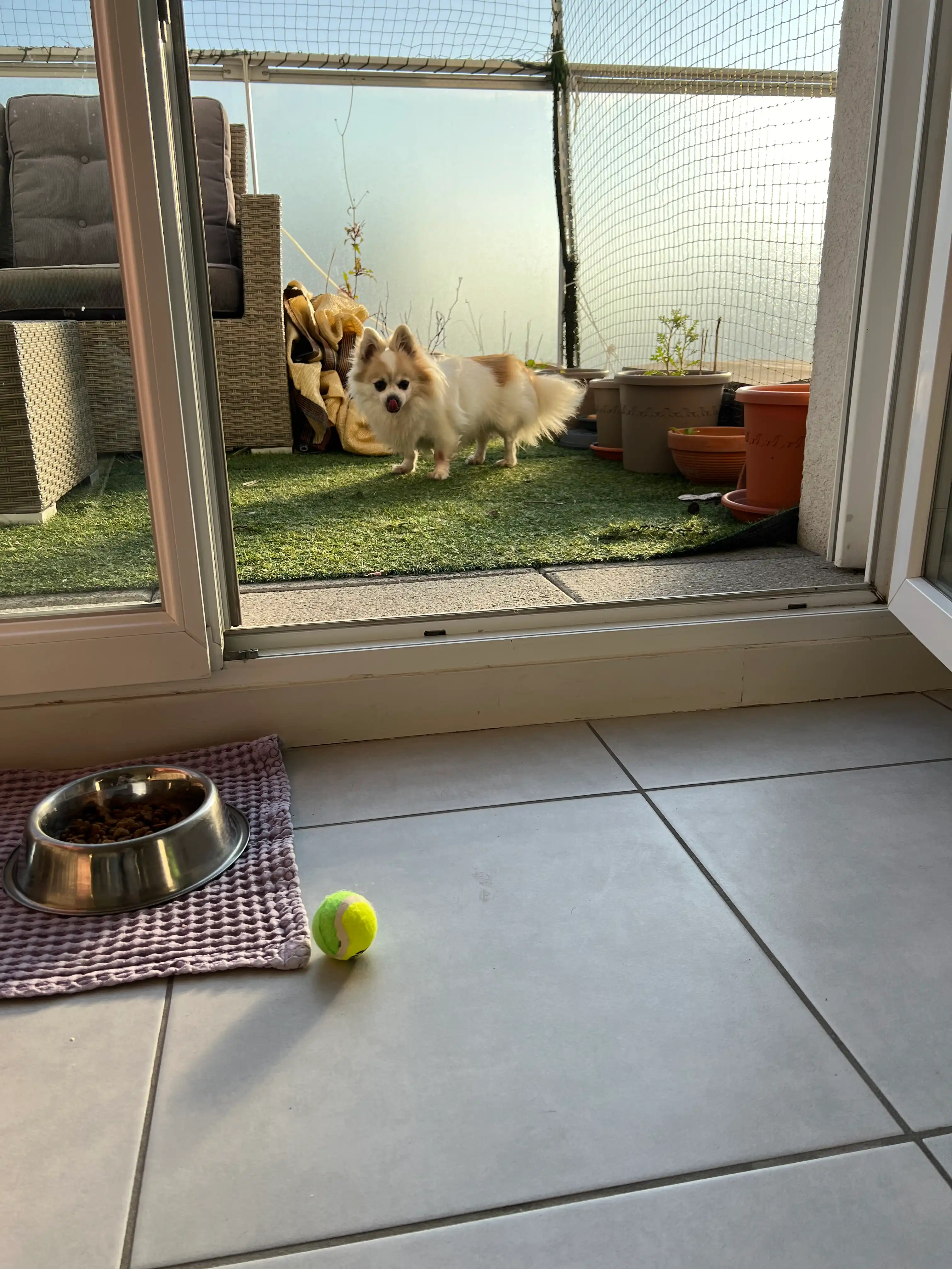 image-11