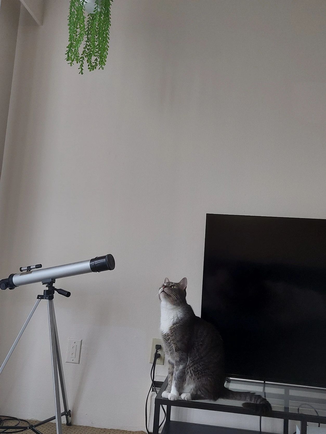 image-17
