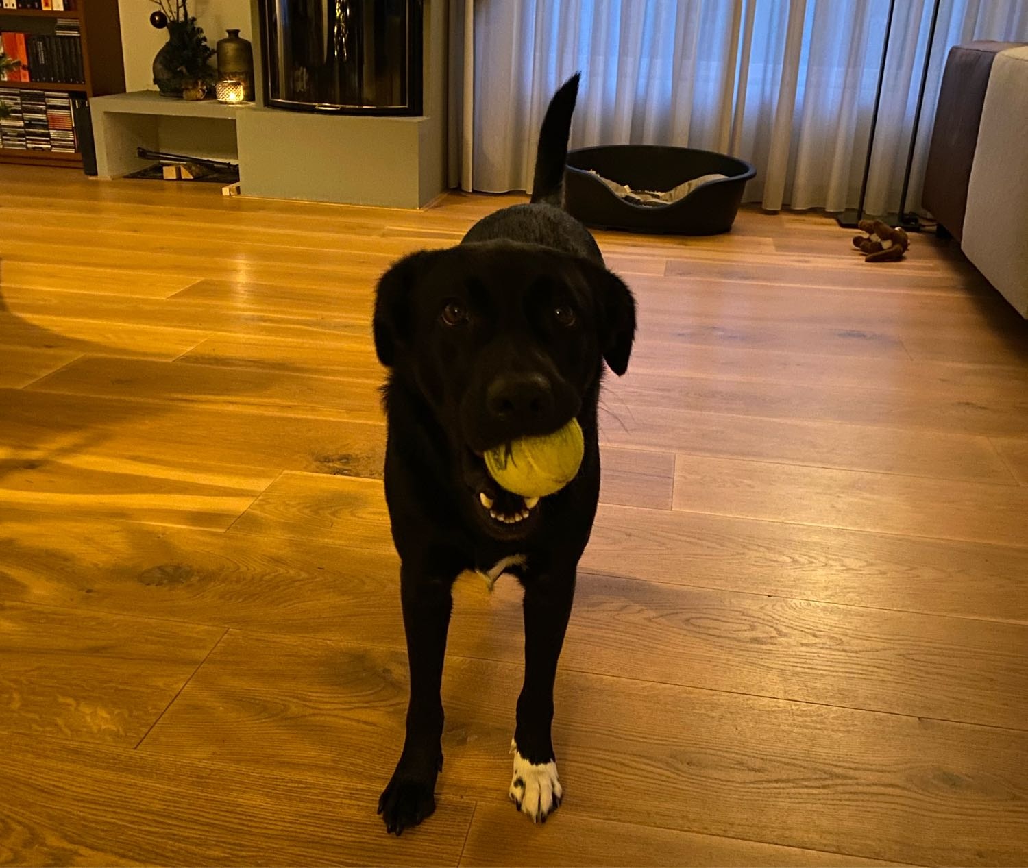 image-6