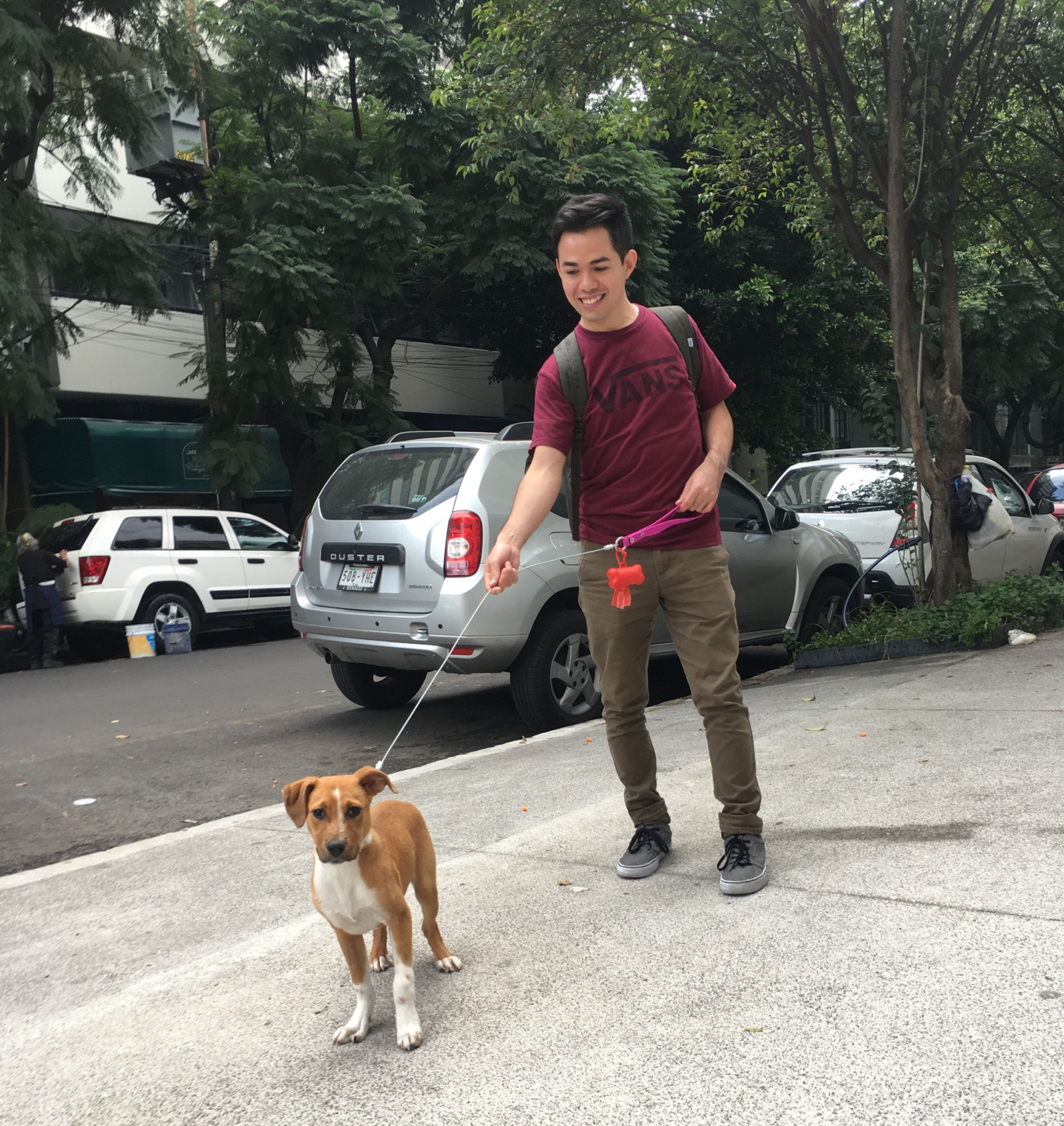 image-3