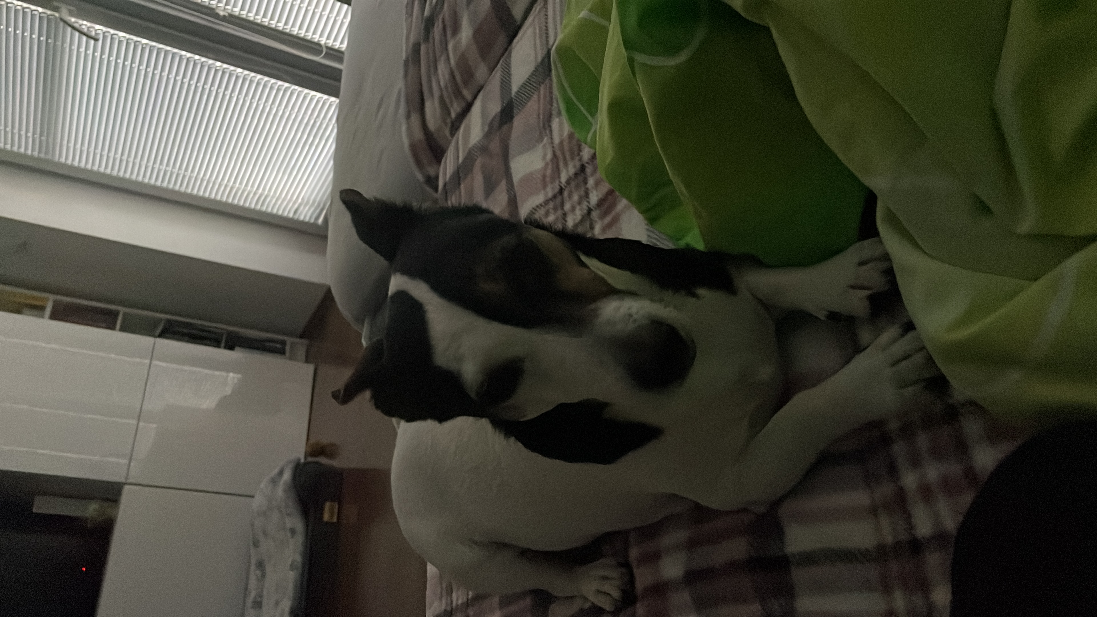 image-3