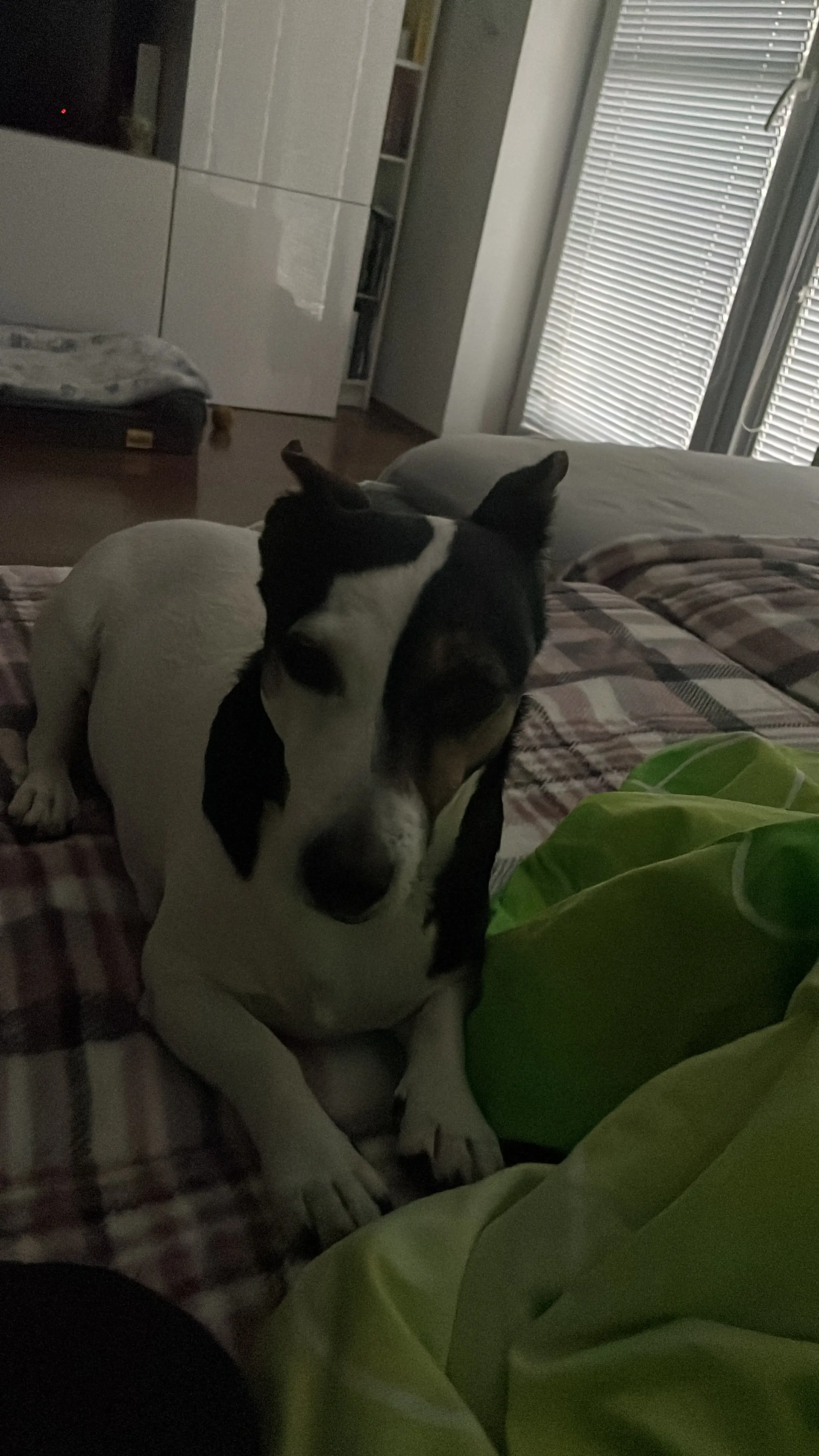 image-3
