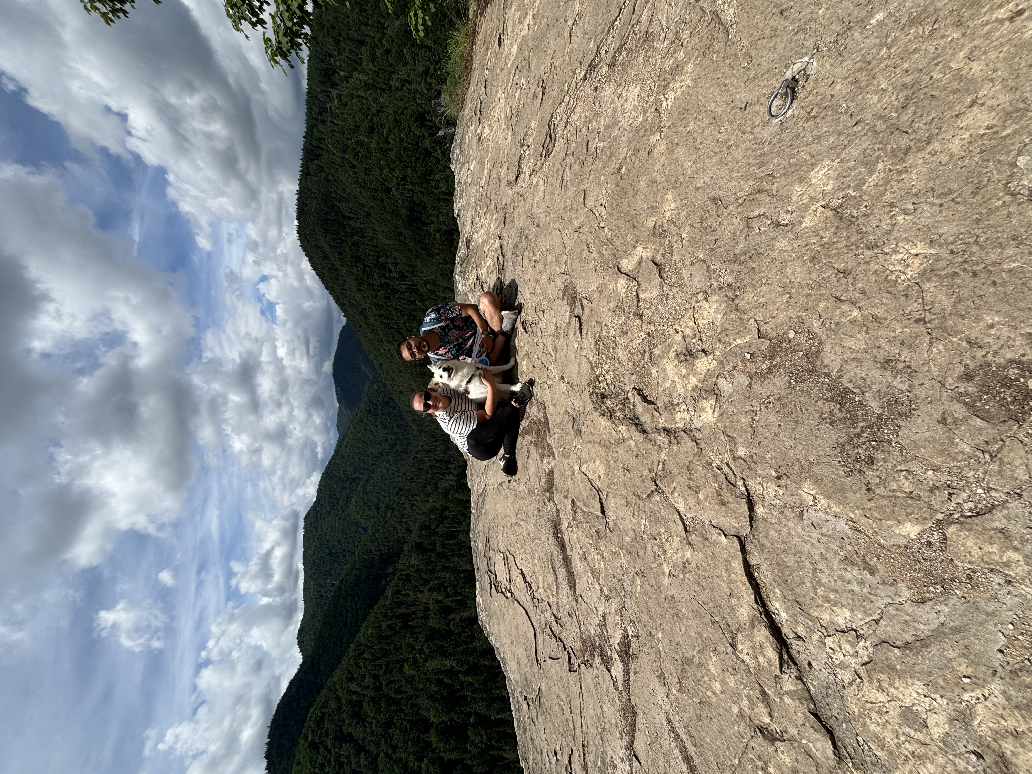image-0