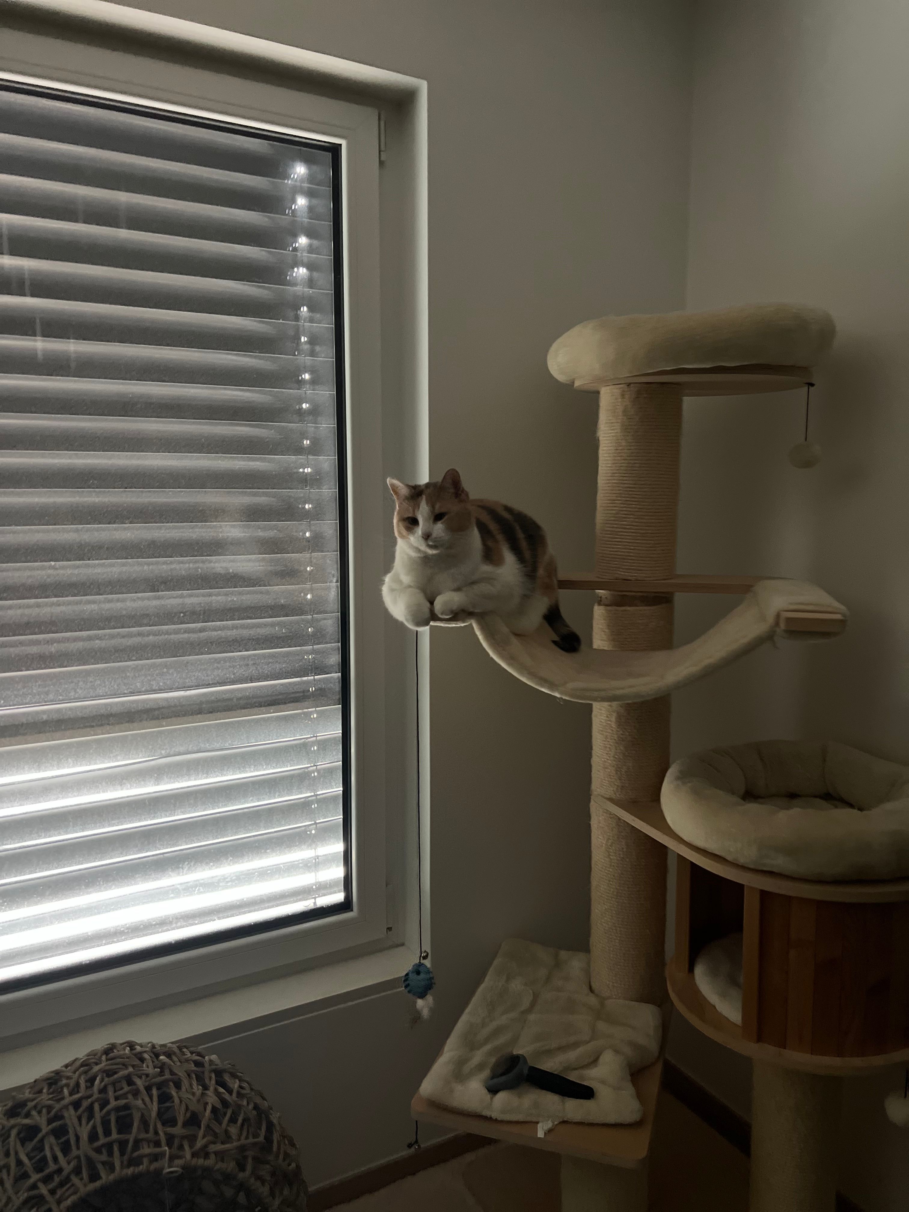 image-18