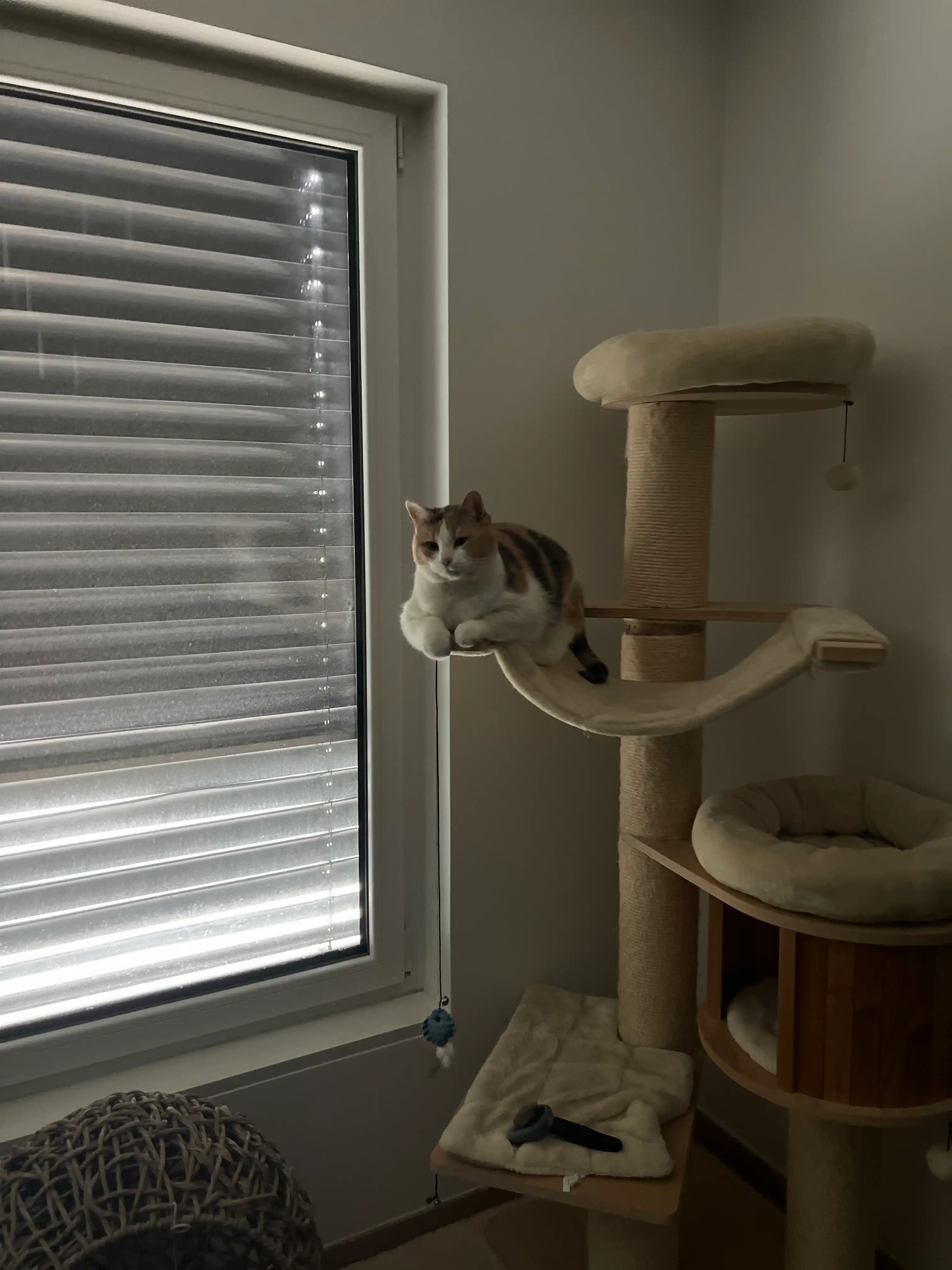 image-18