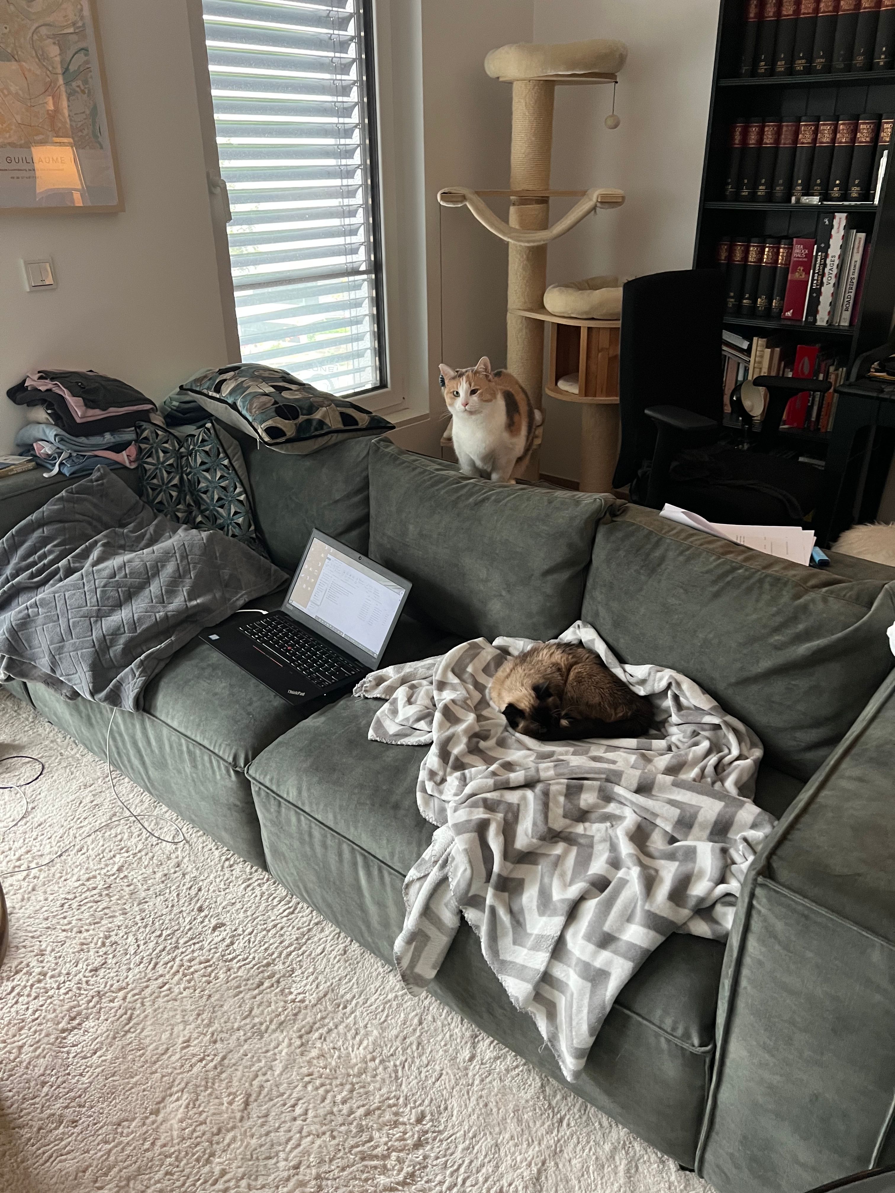 image-15