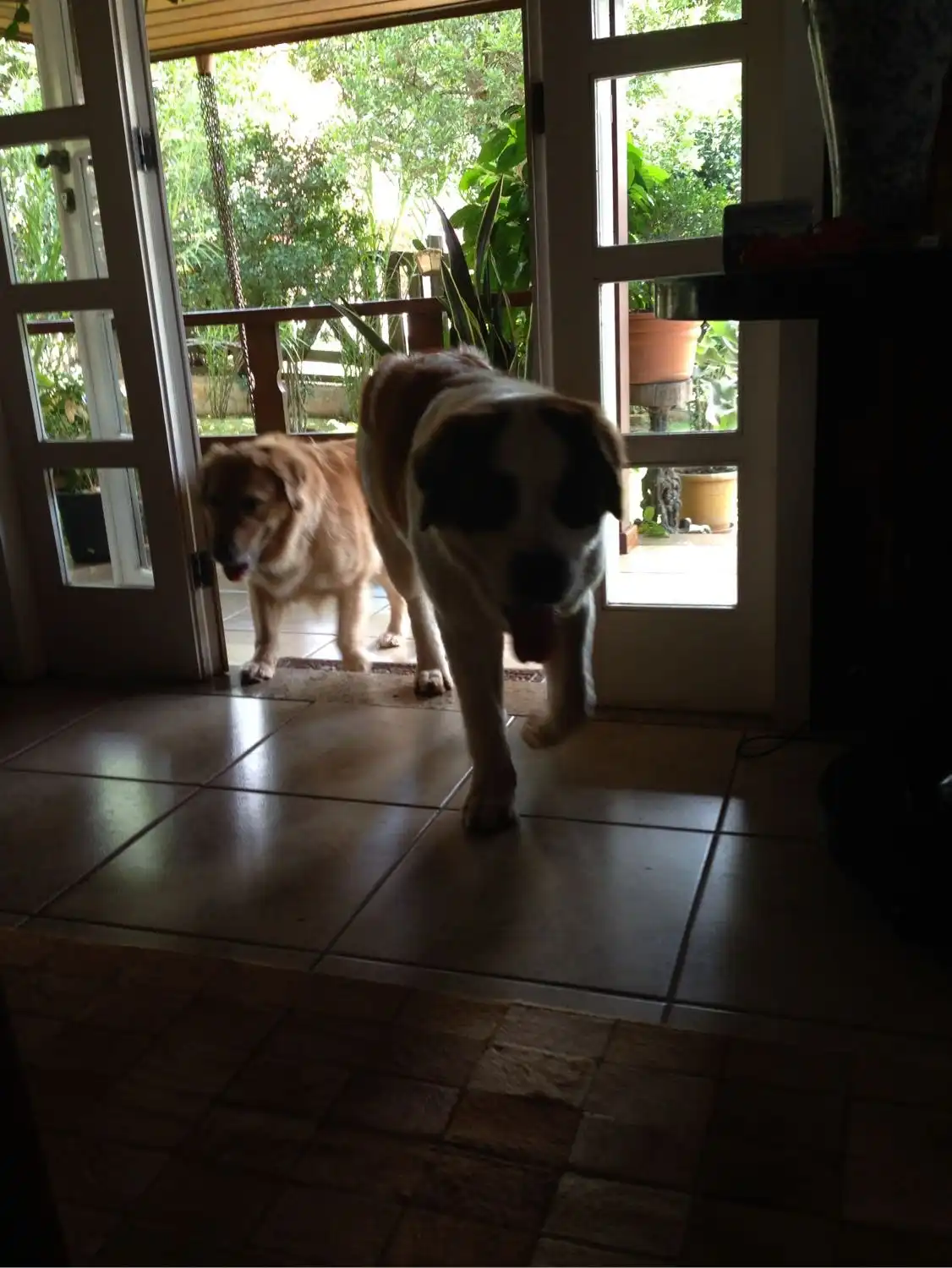 image-12
