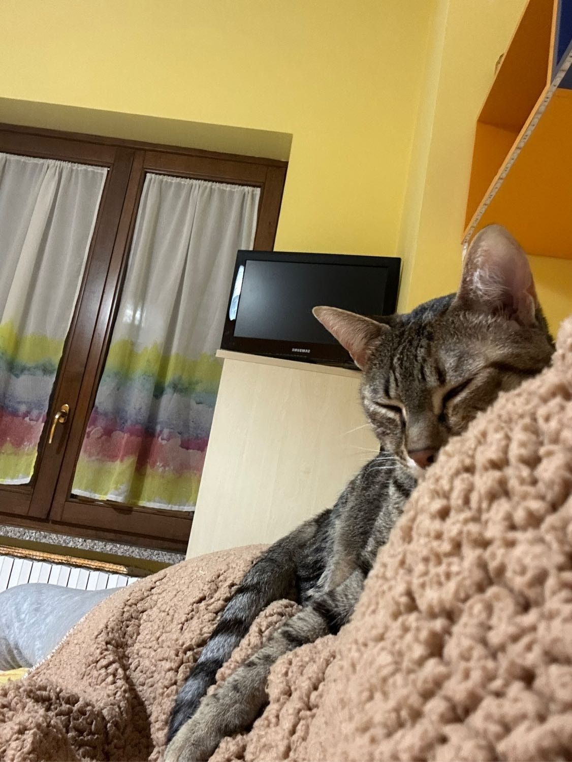 image-8