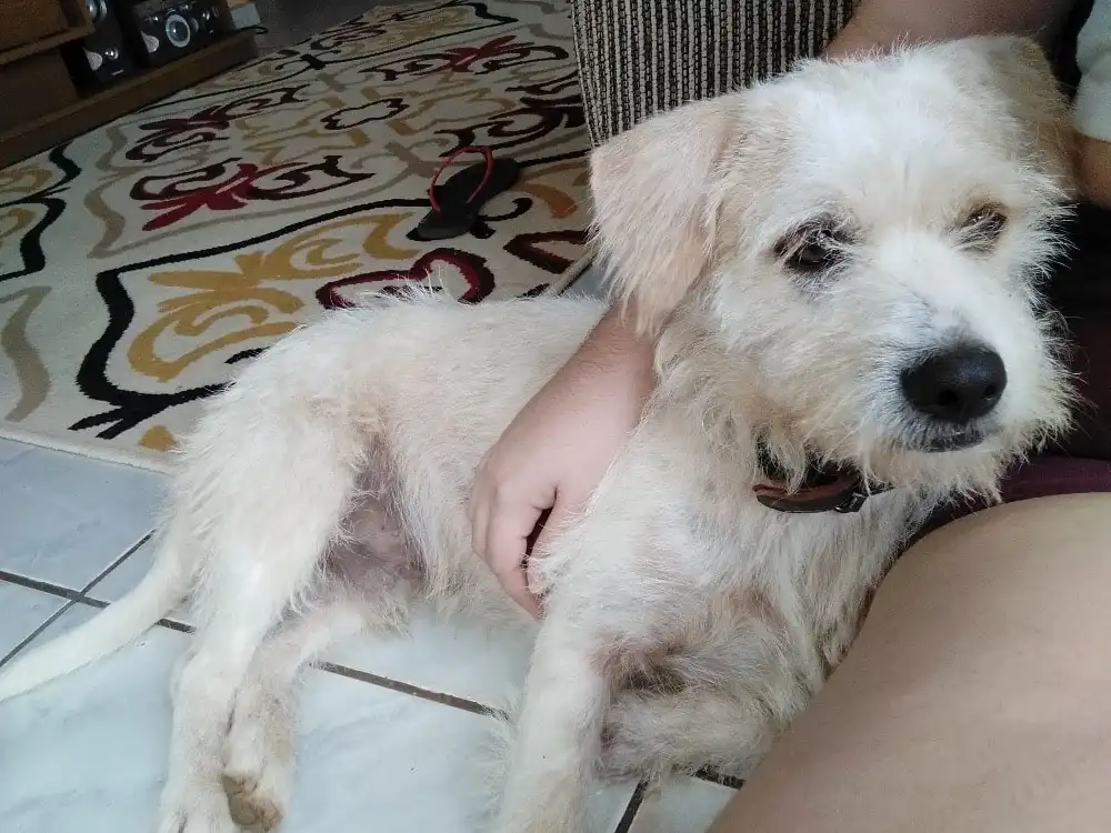 image-9