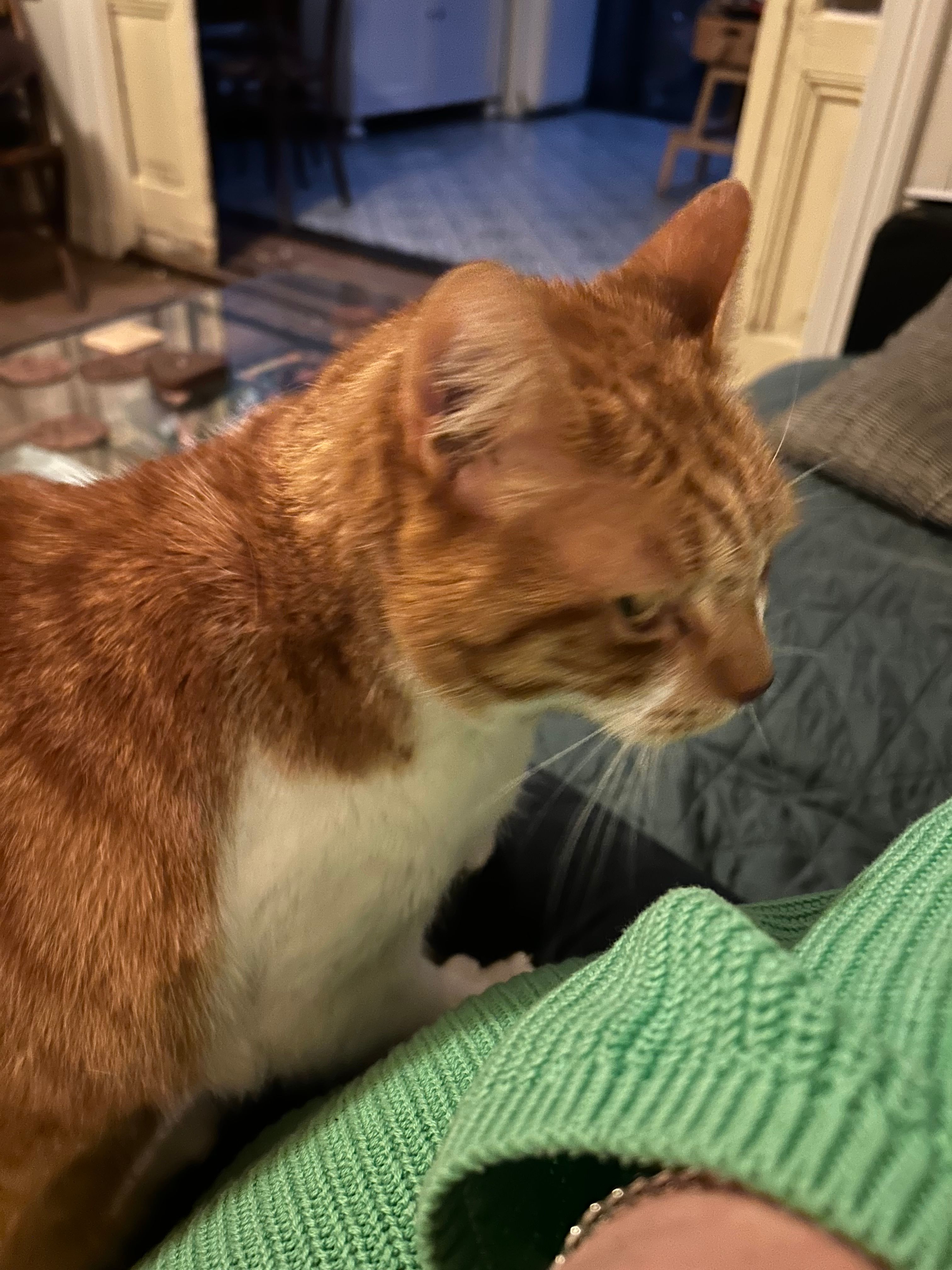 image-6
