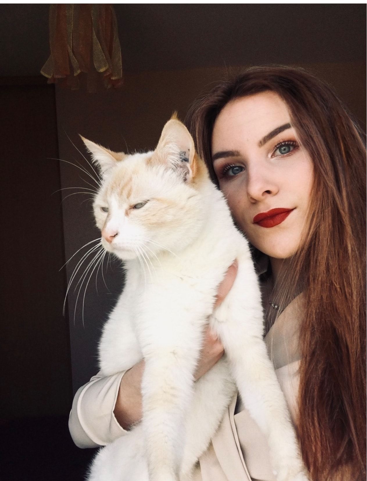 image-6