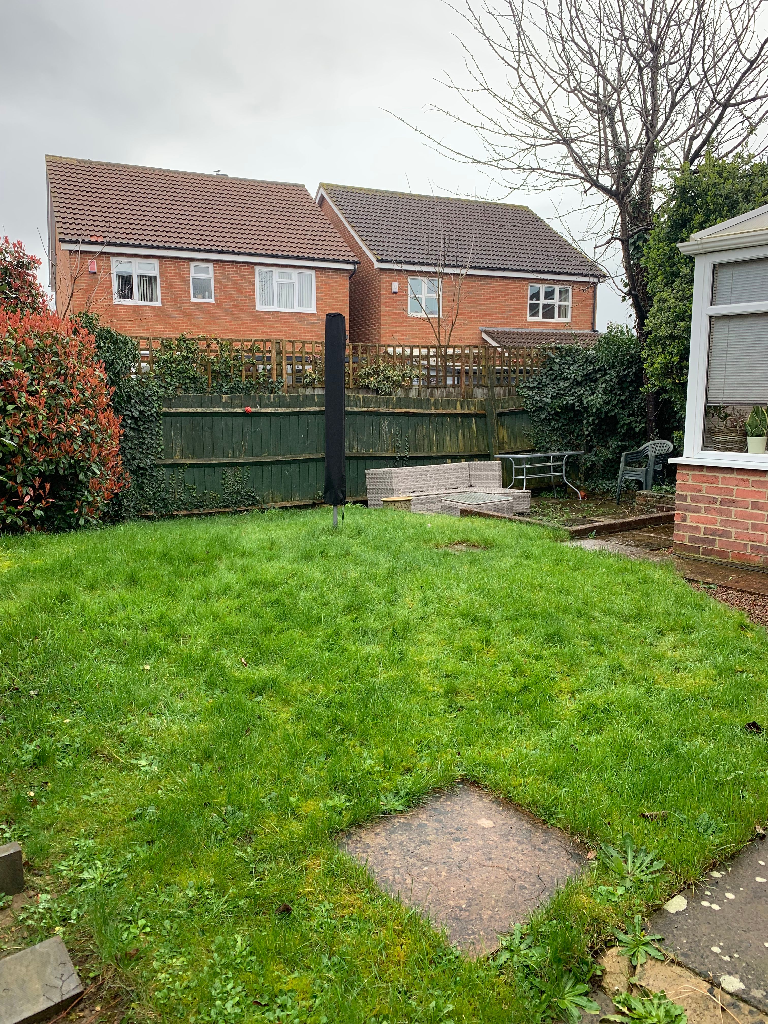 image-19