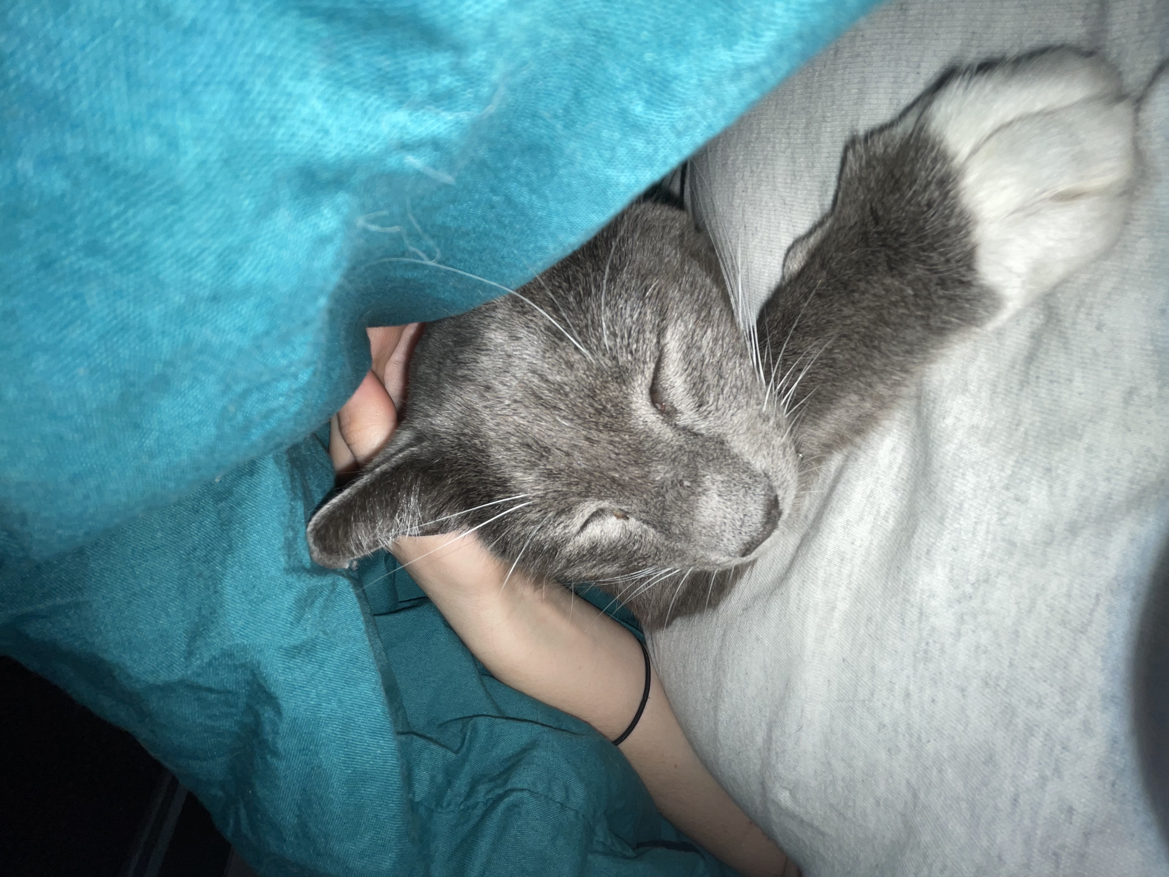image-5
