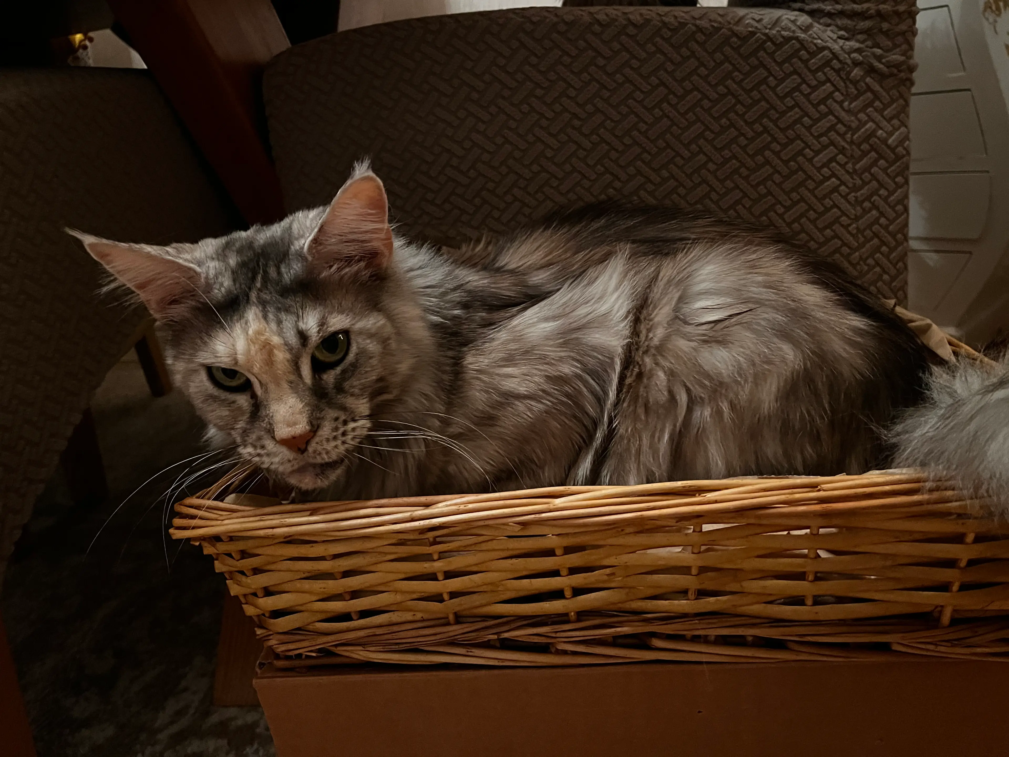 image-4