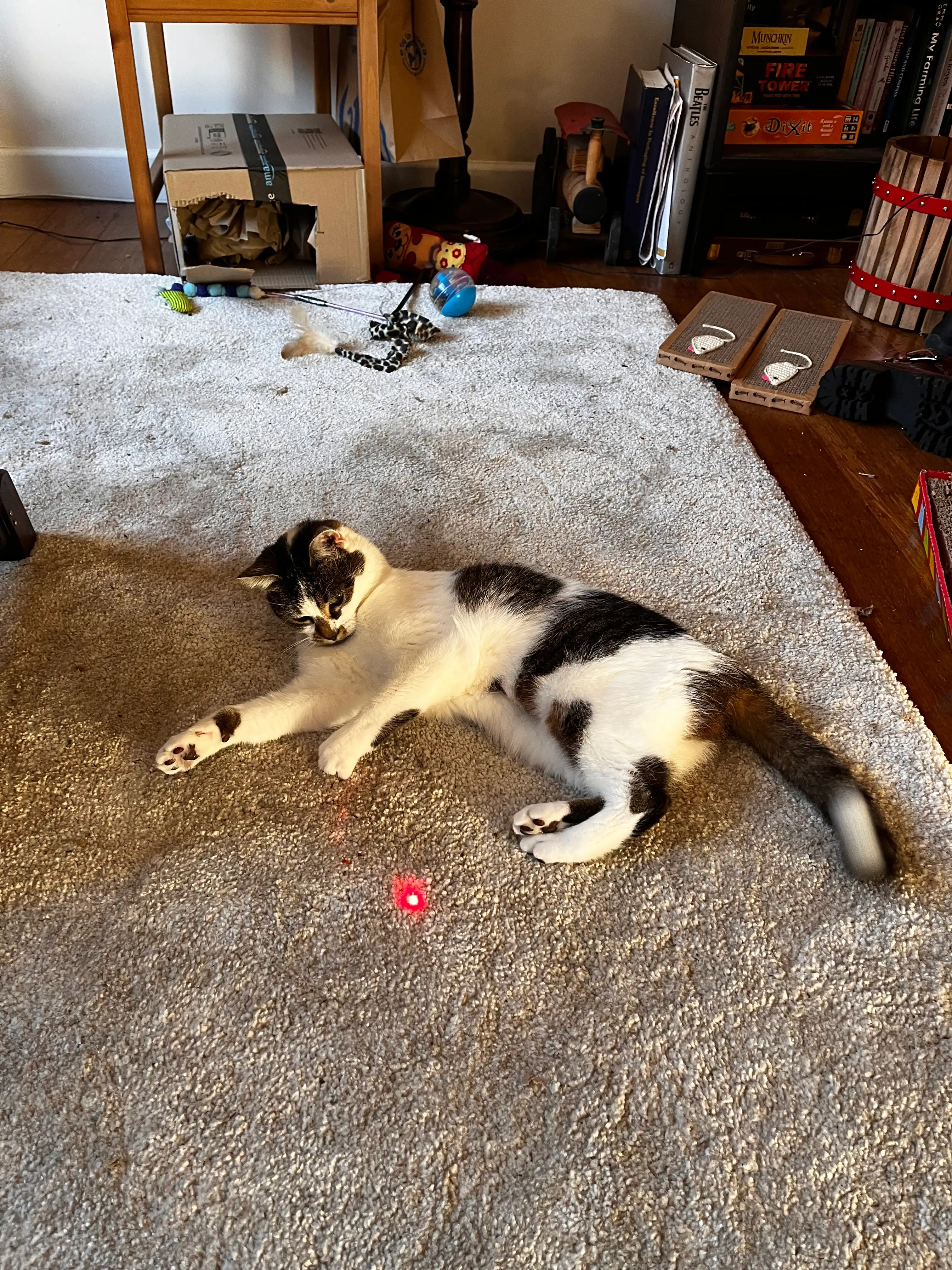 image-14