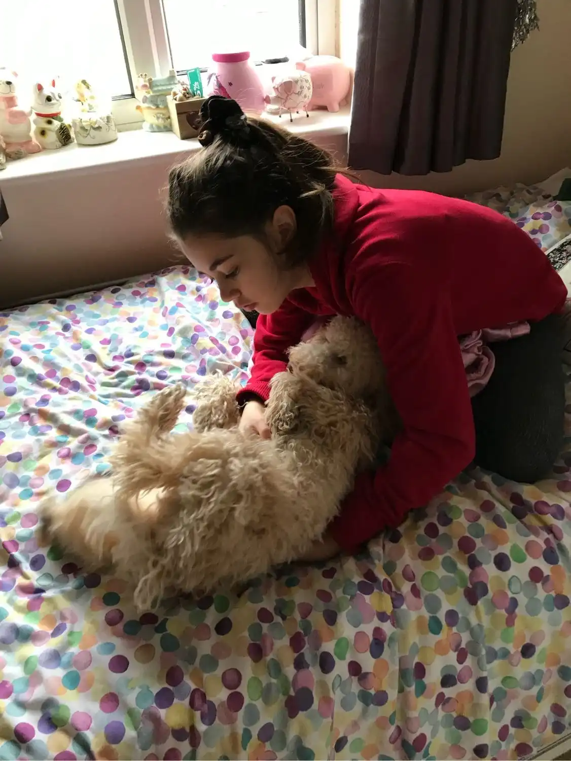 image-5
