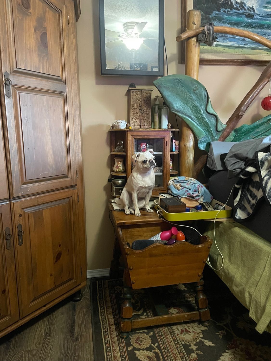 image-10