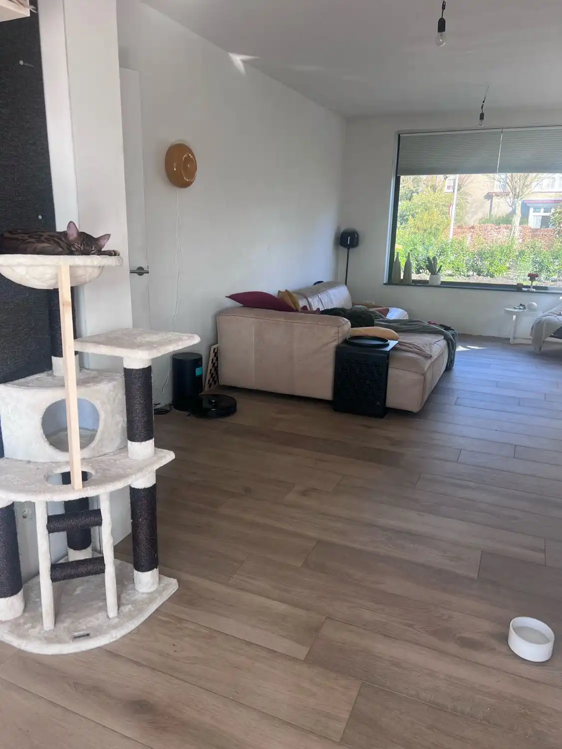 image-16