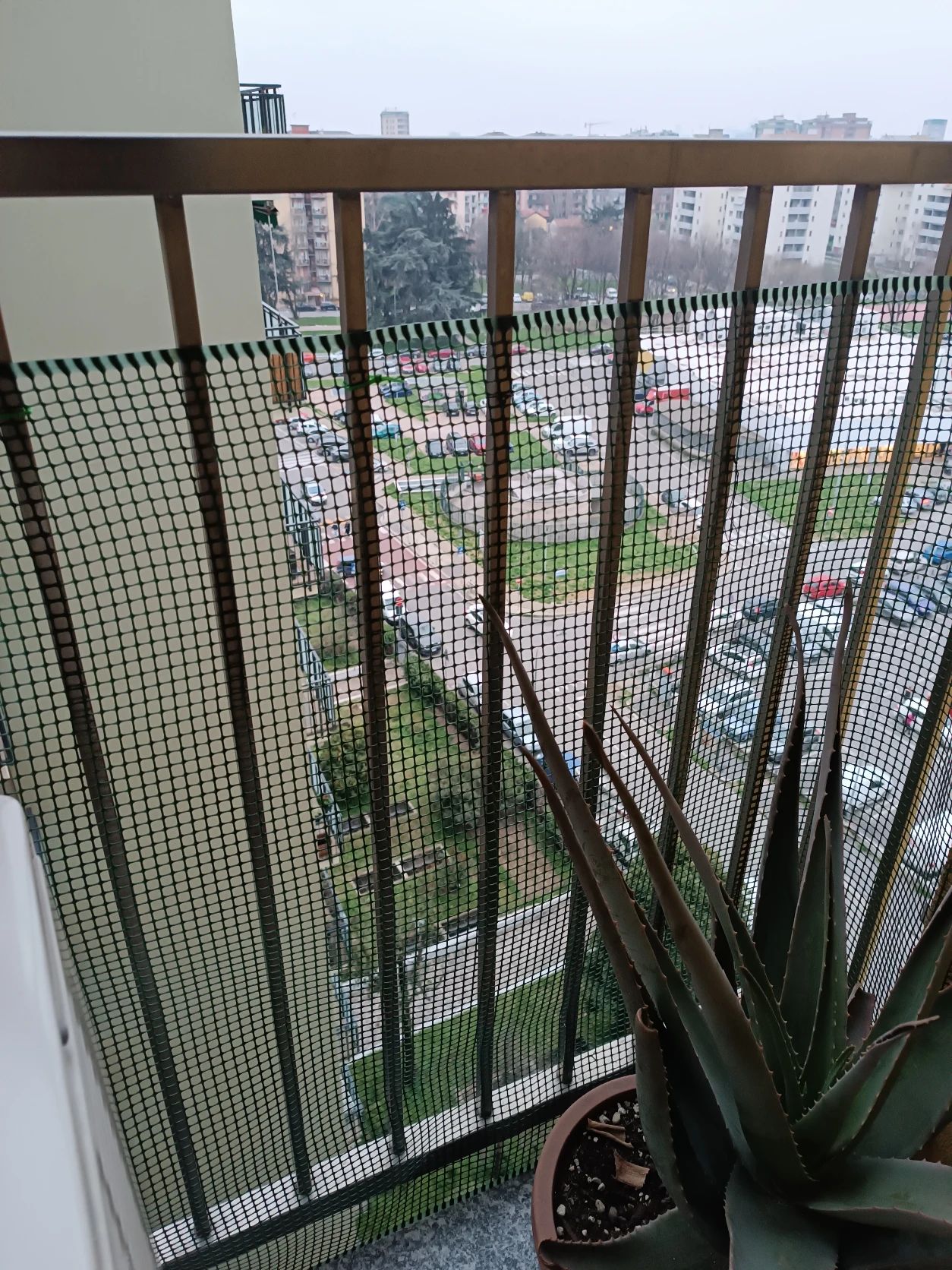 image-14