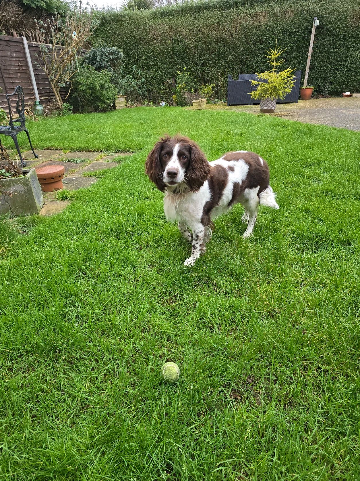 image-21