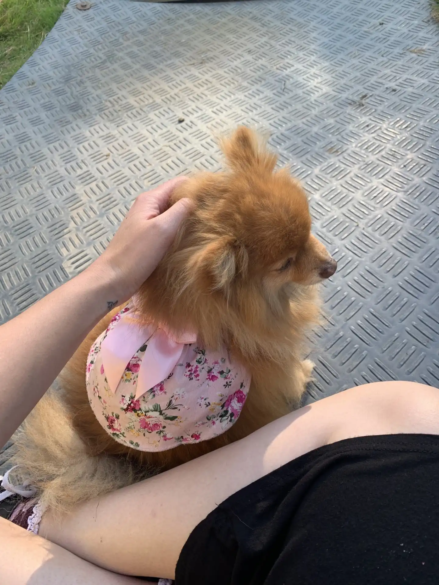 image-9