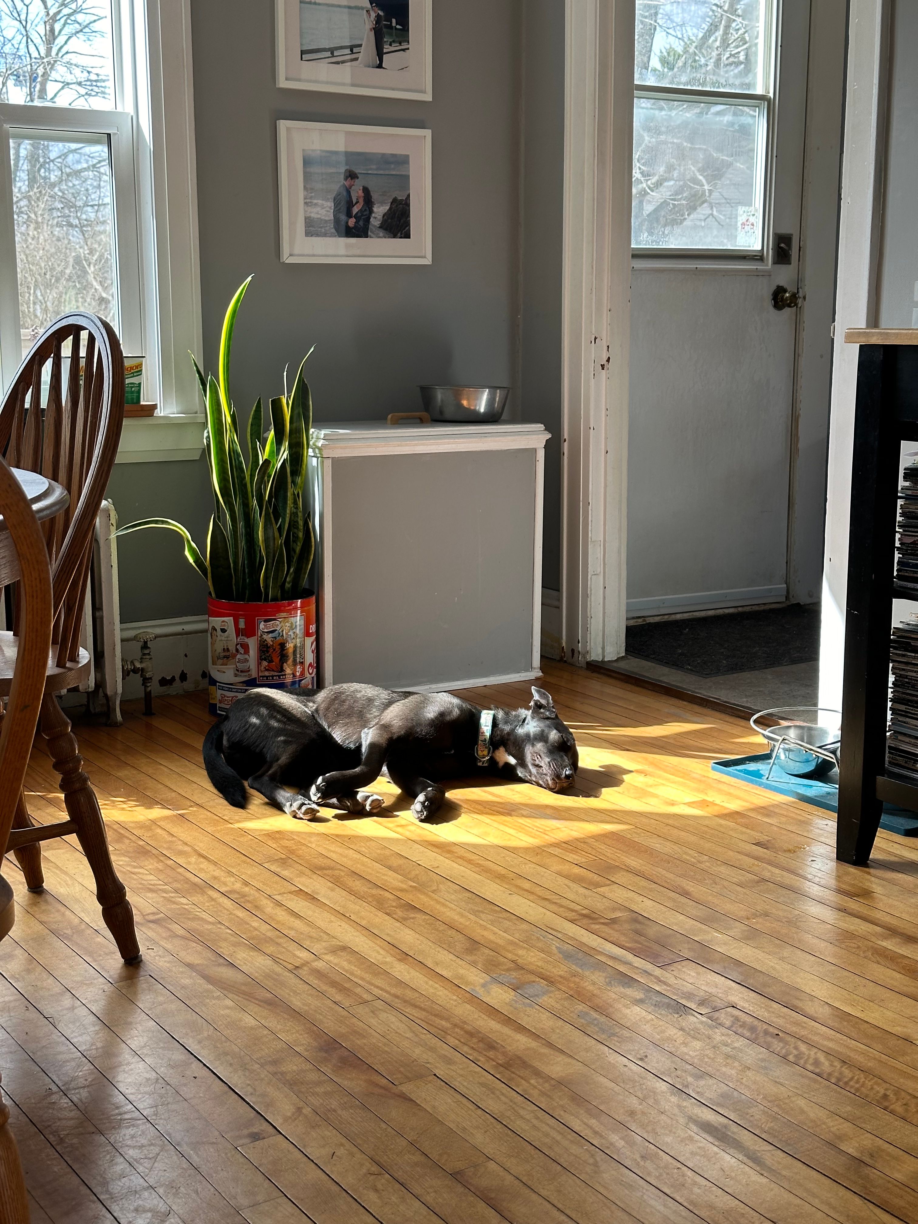 image-16