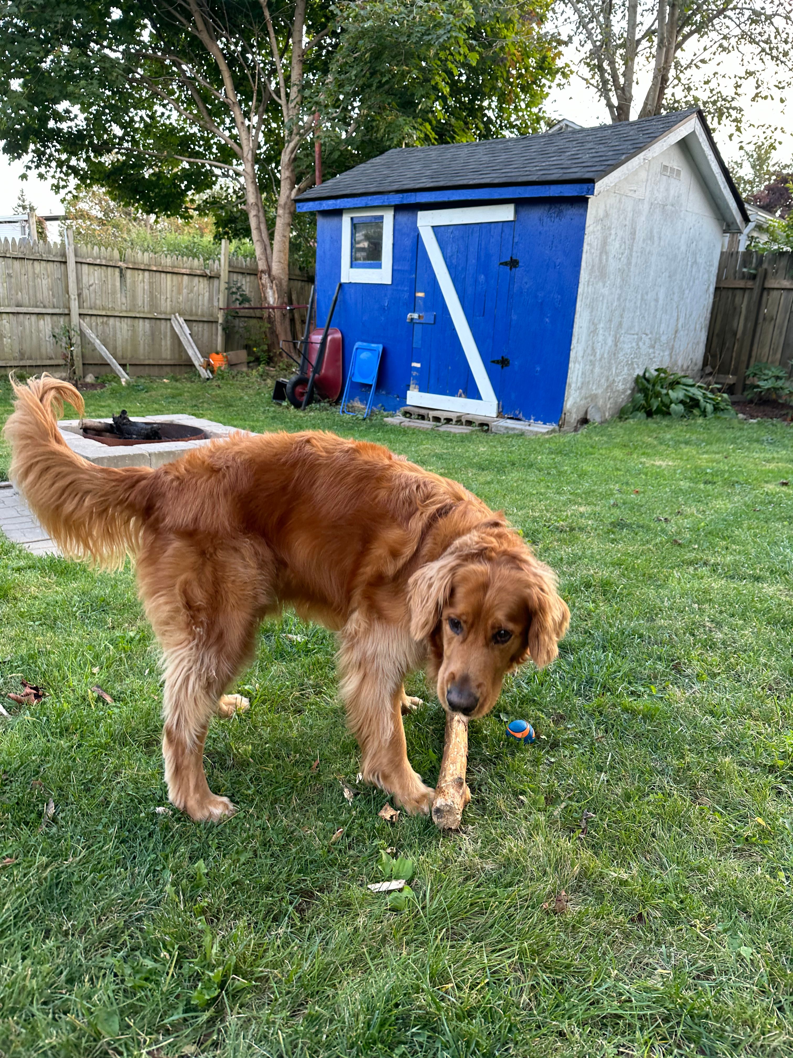 image-18