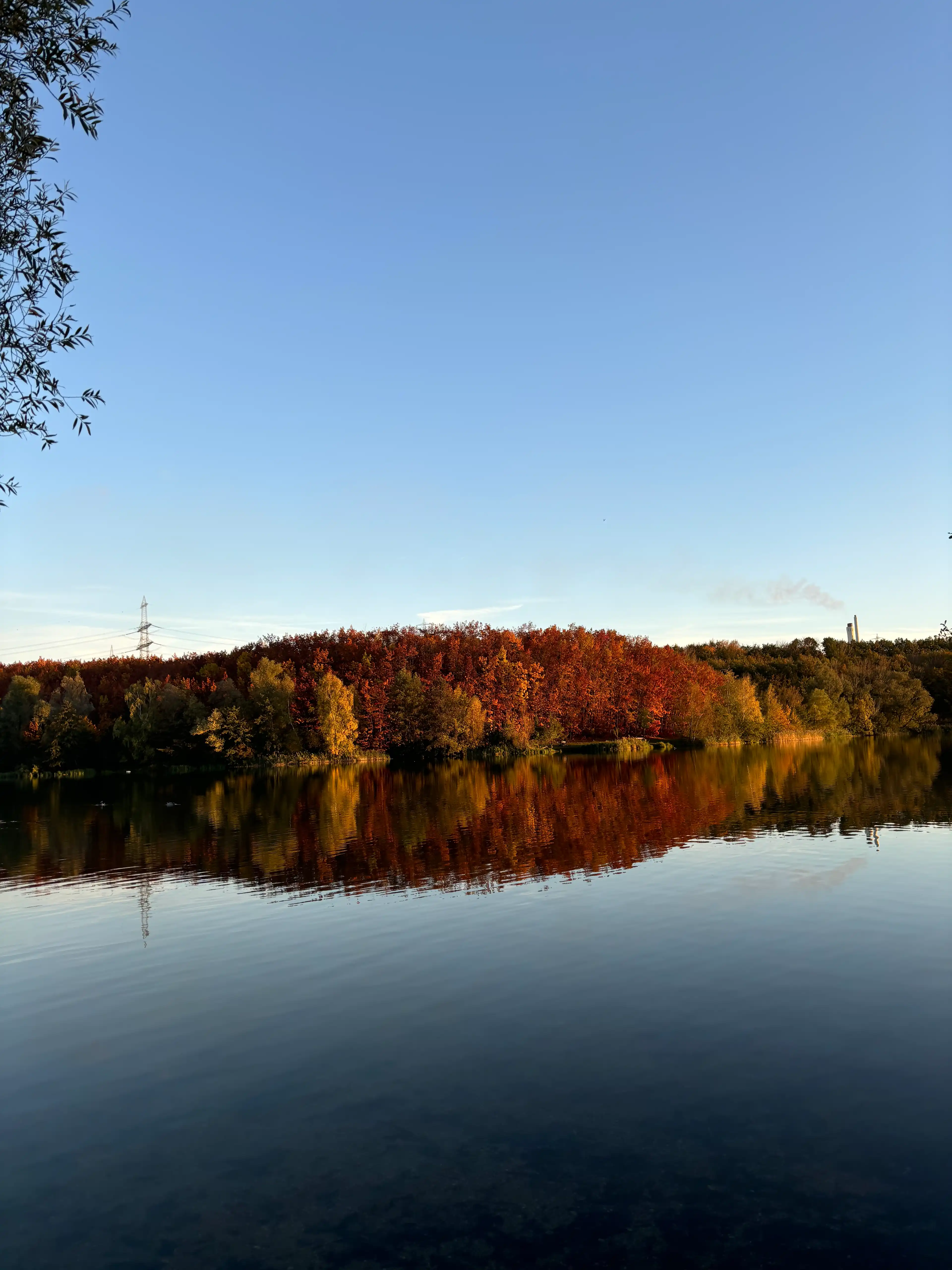 image-13