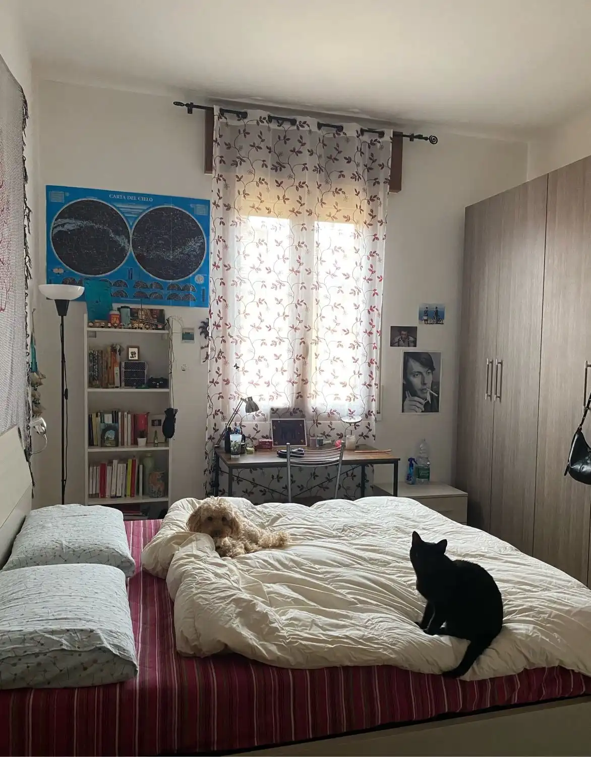 image-5
