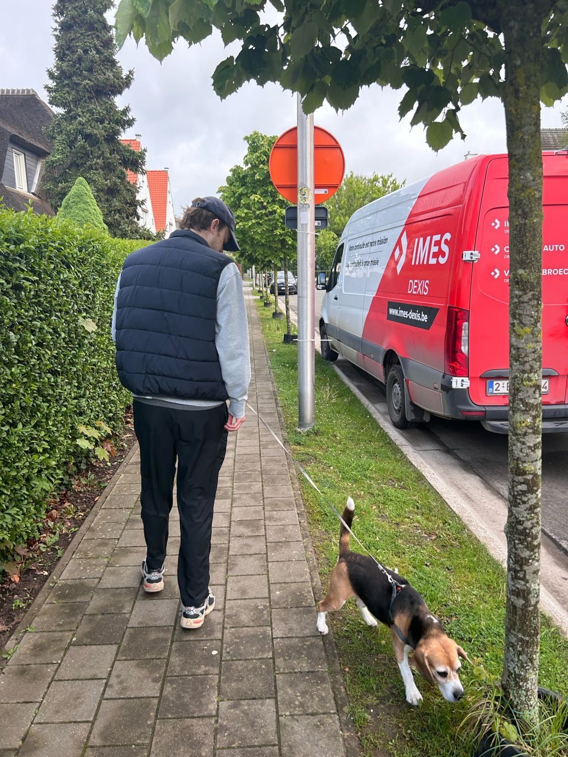 image-11